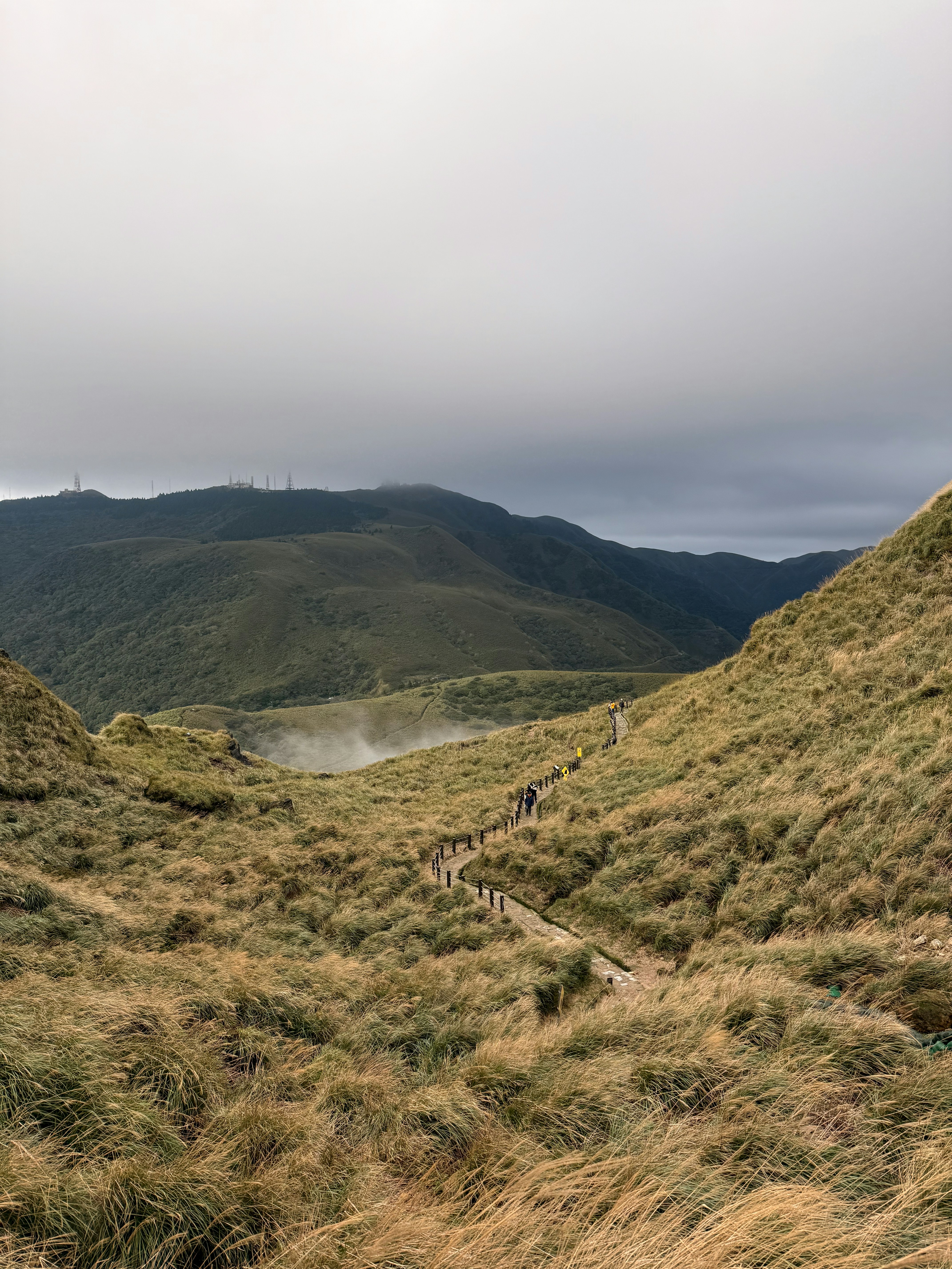 Photo by artemisss666