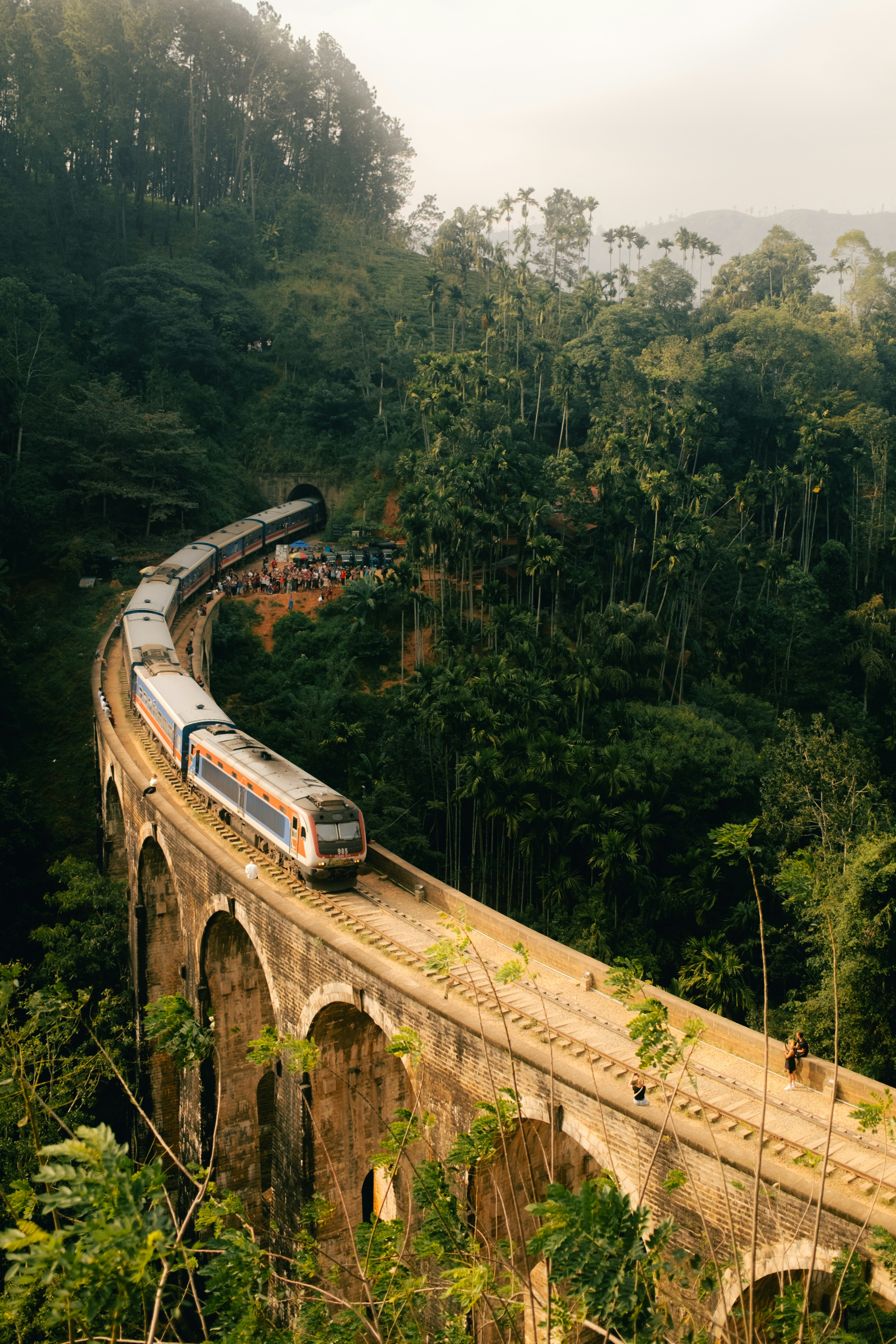 A train travels across a viaduct in a lush jungle.