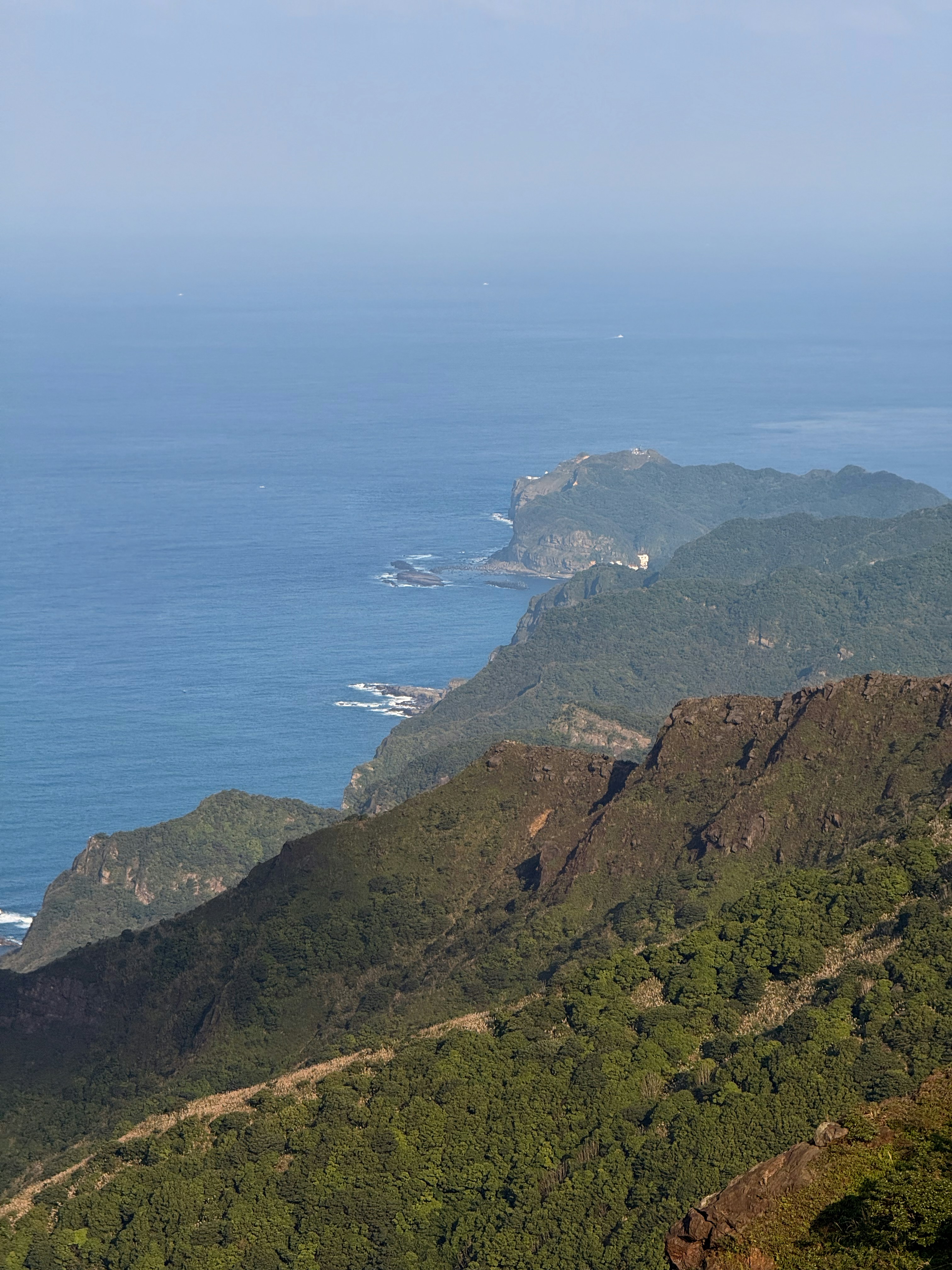 Photo by artemisss666