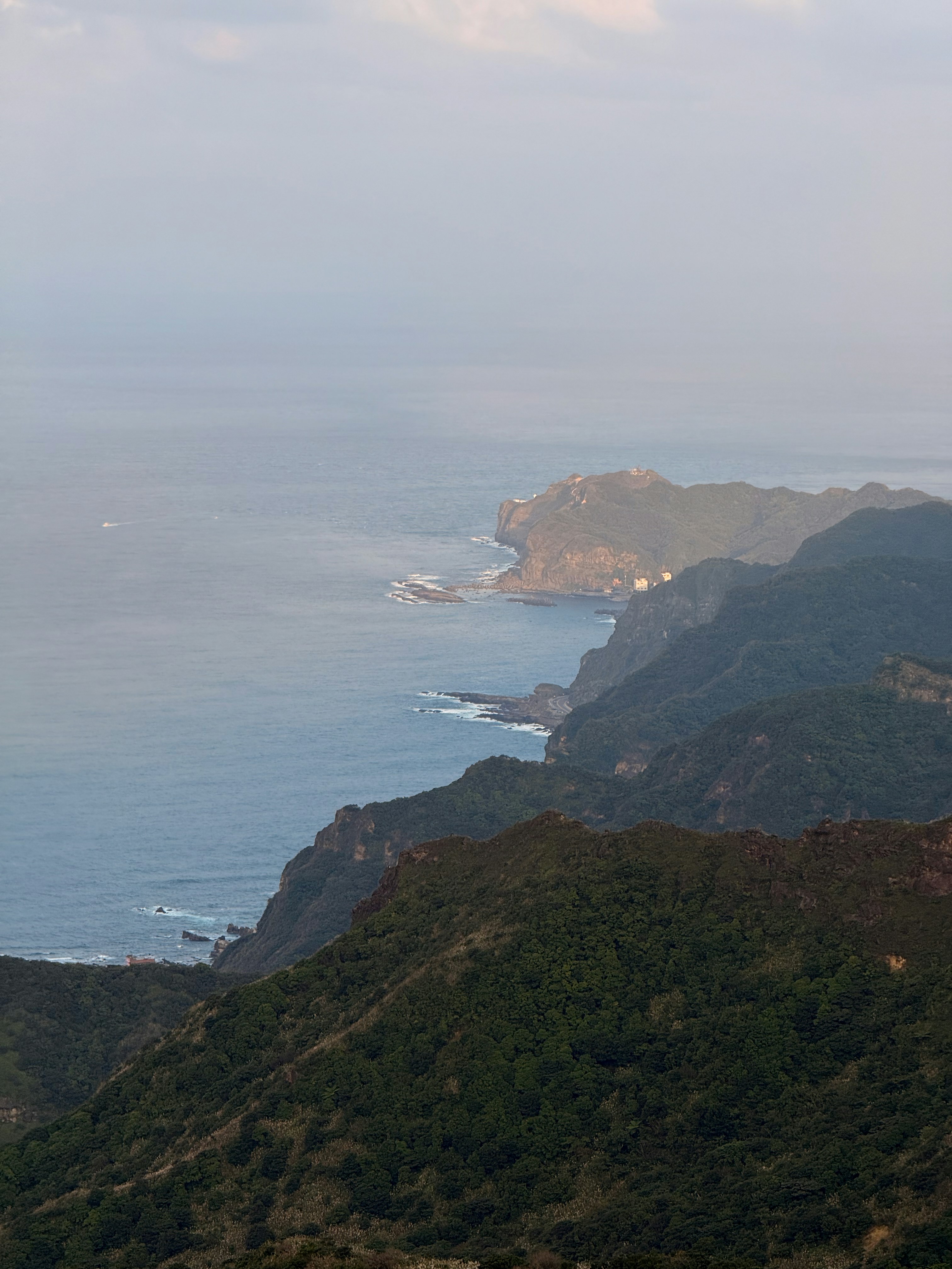 Photo by artemisss666