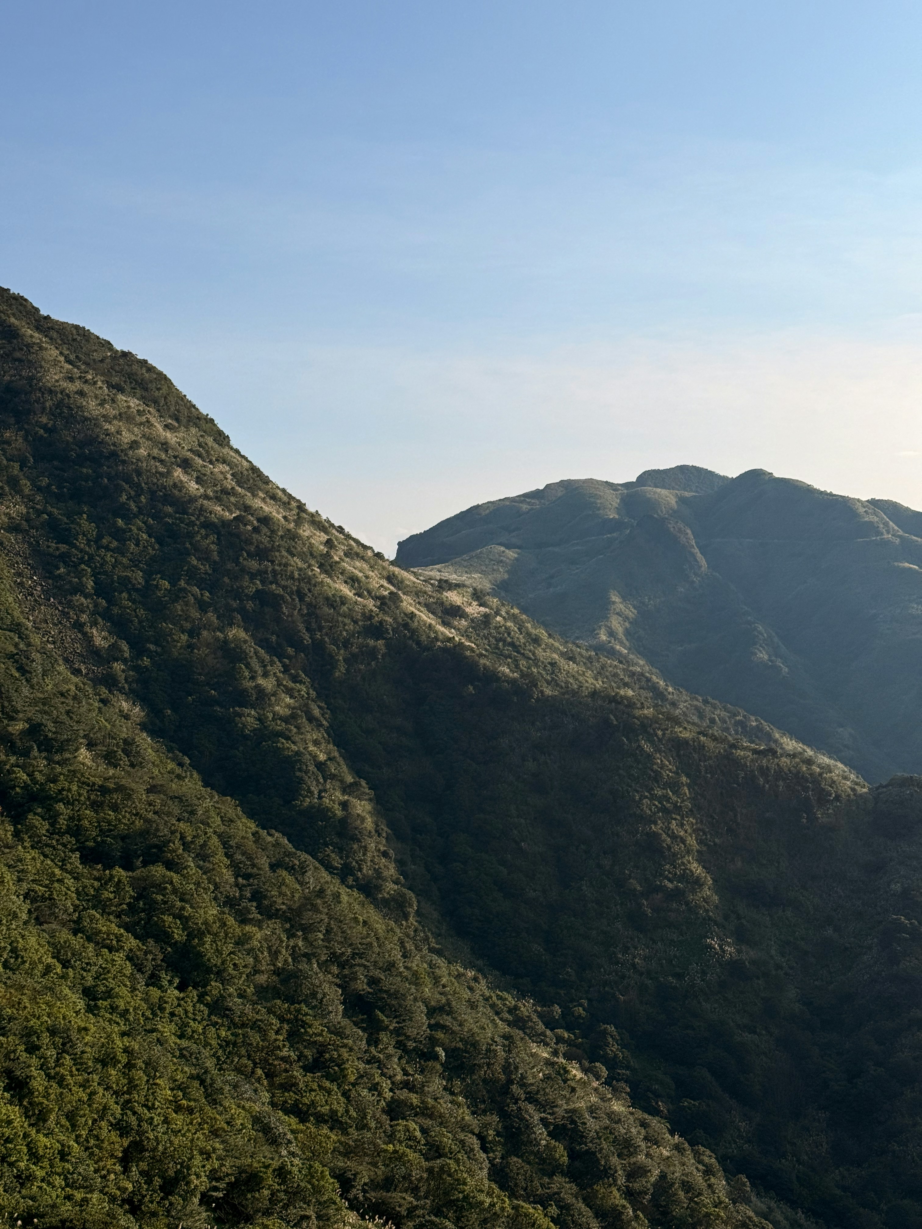 Photo by artemisss666