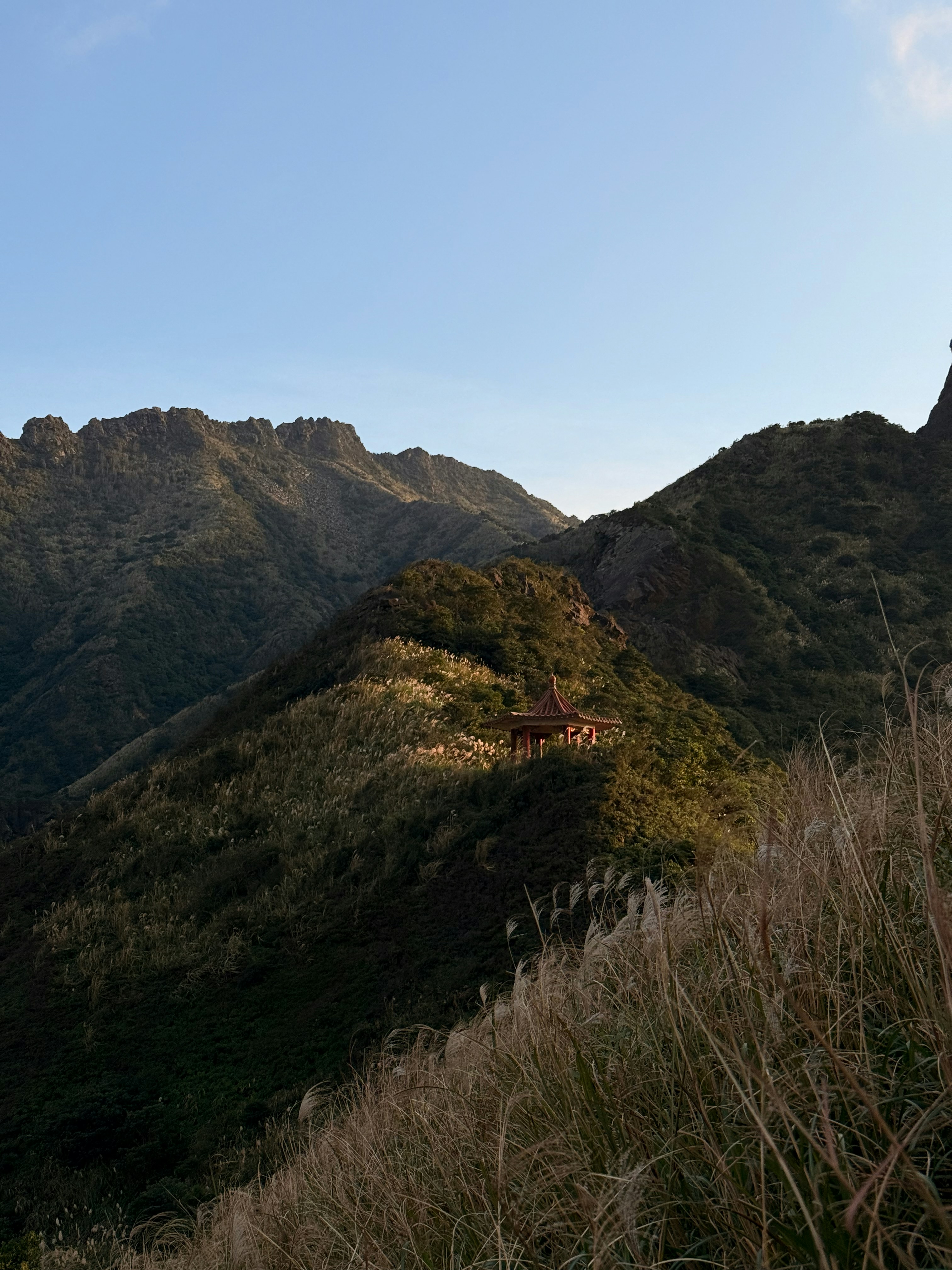 Photo by artemisss666