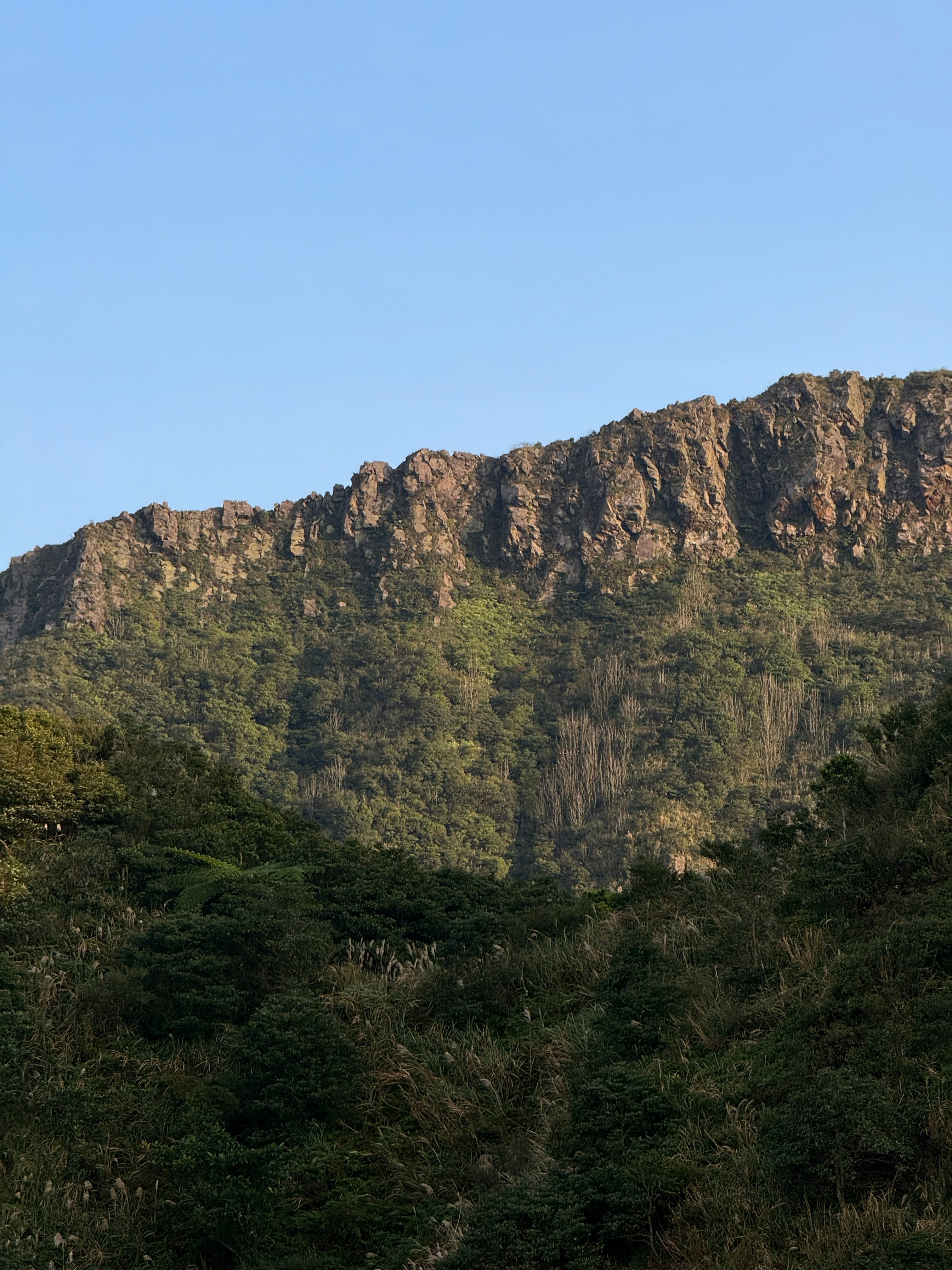 Photo by artemisss666