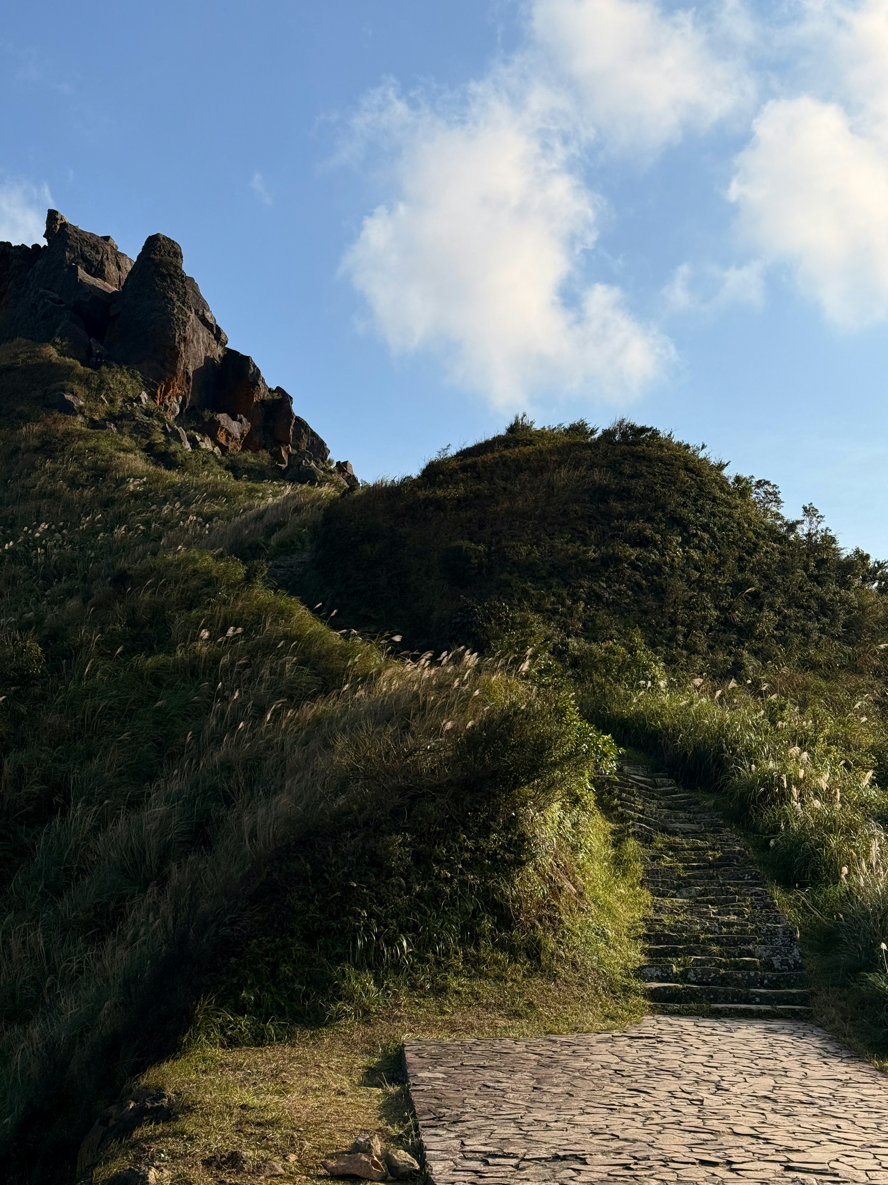 Photo by artemisss666