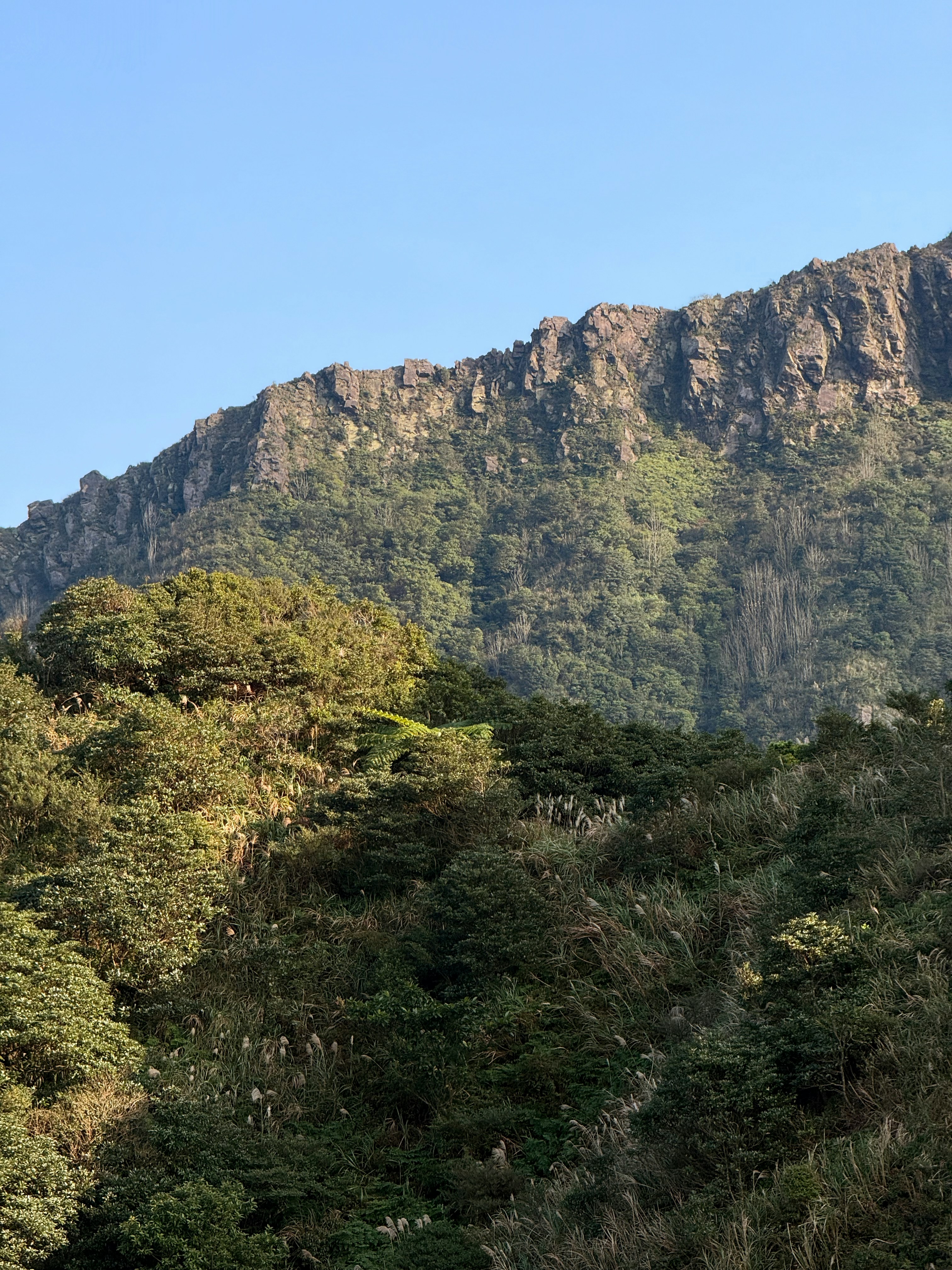 Photo by artemisss666