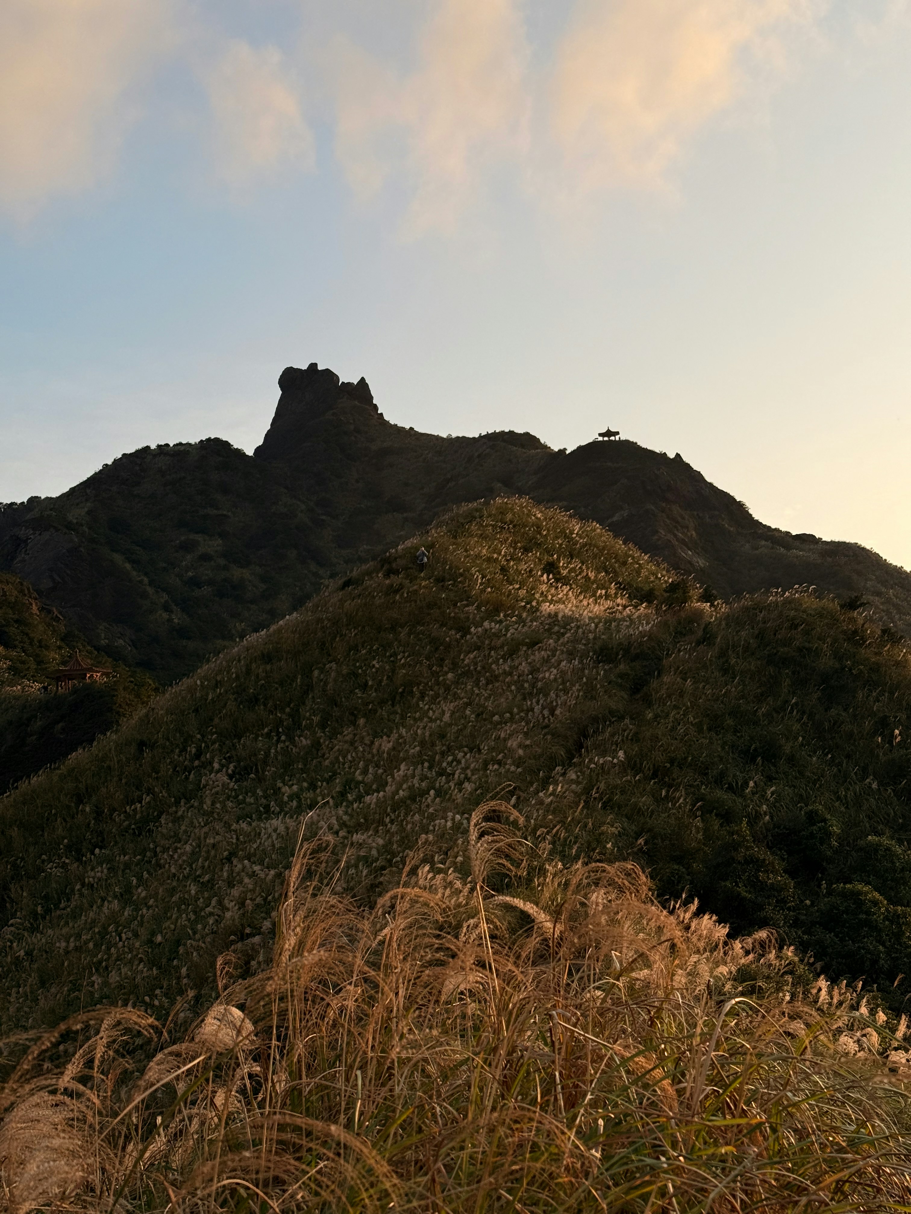 Photo by artemisss666