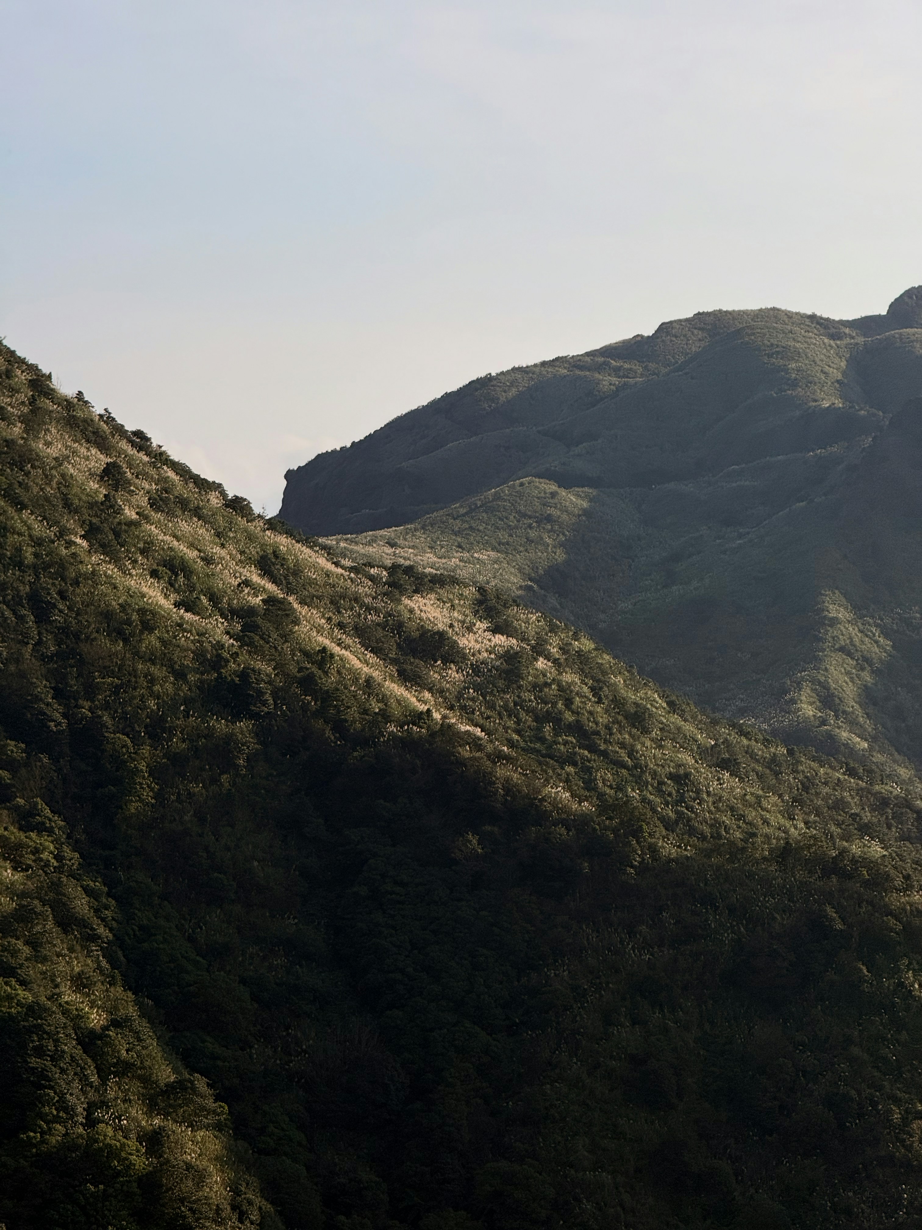 Photo by artemisss666