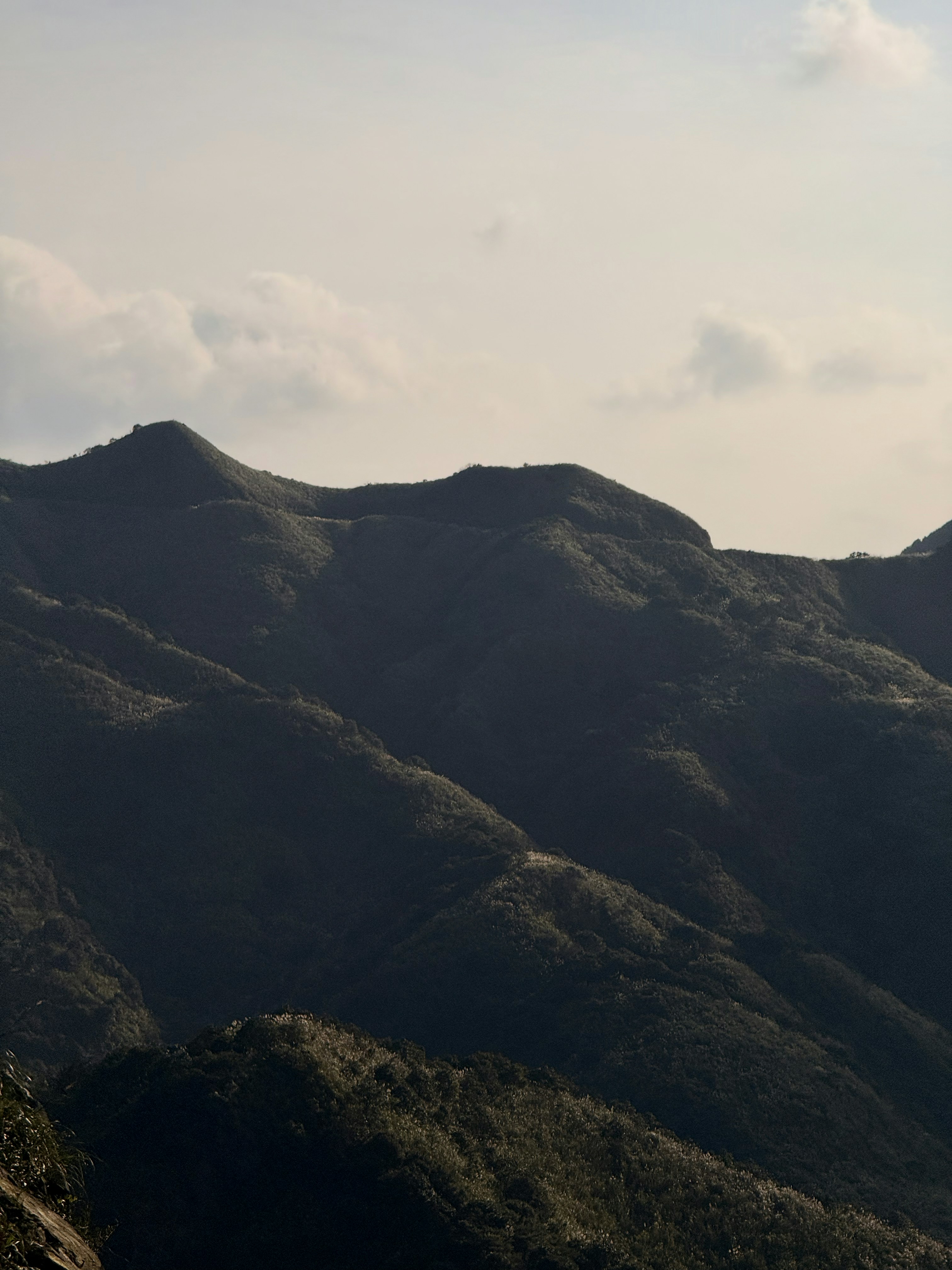 Photo by artemisss666