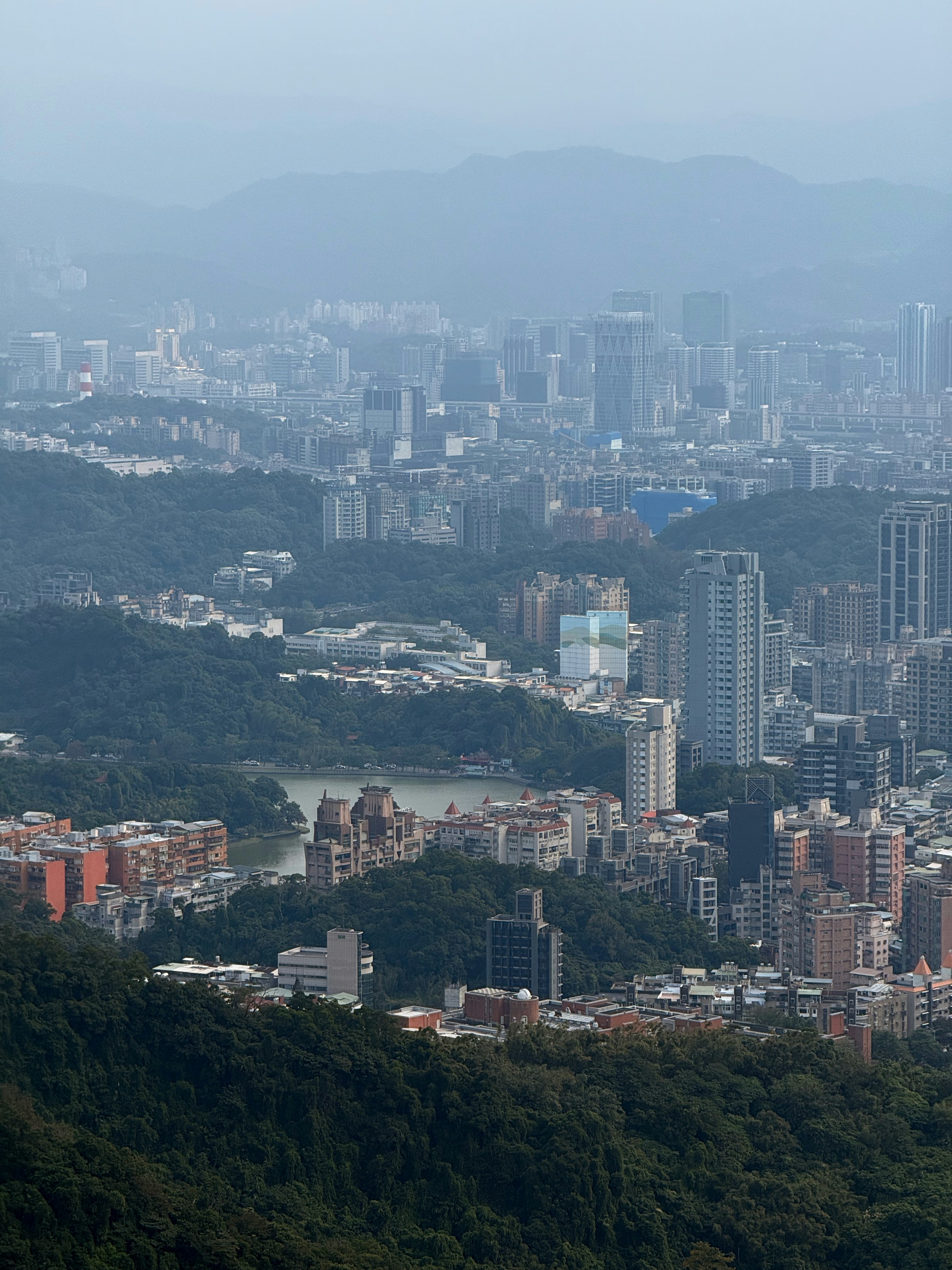 Photo by artemisss666