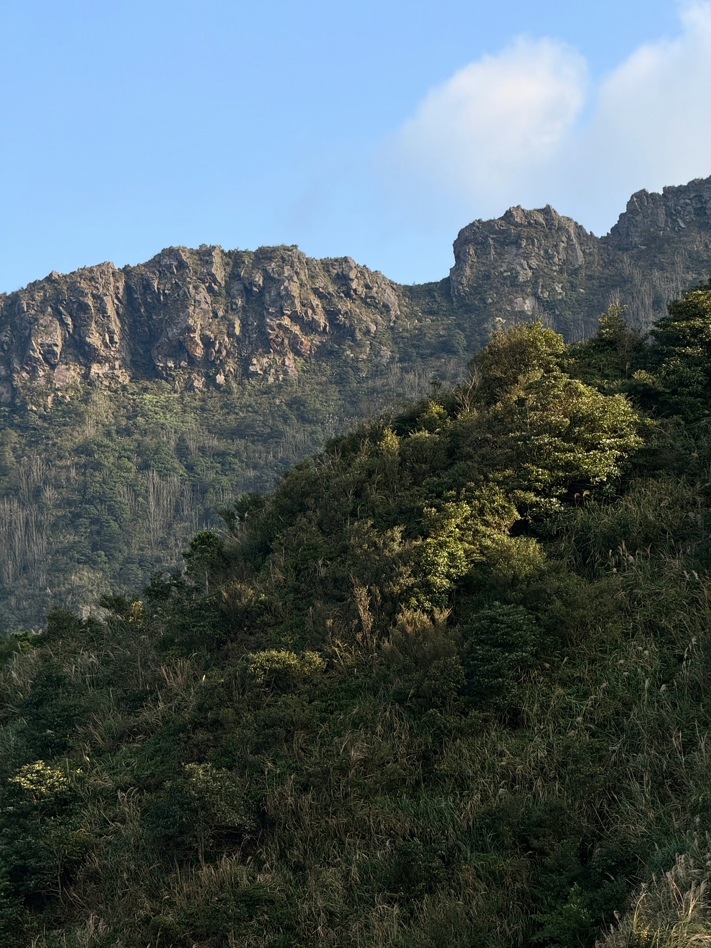 Photo by artemisss666