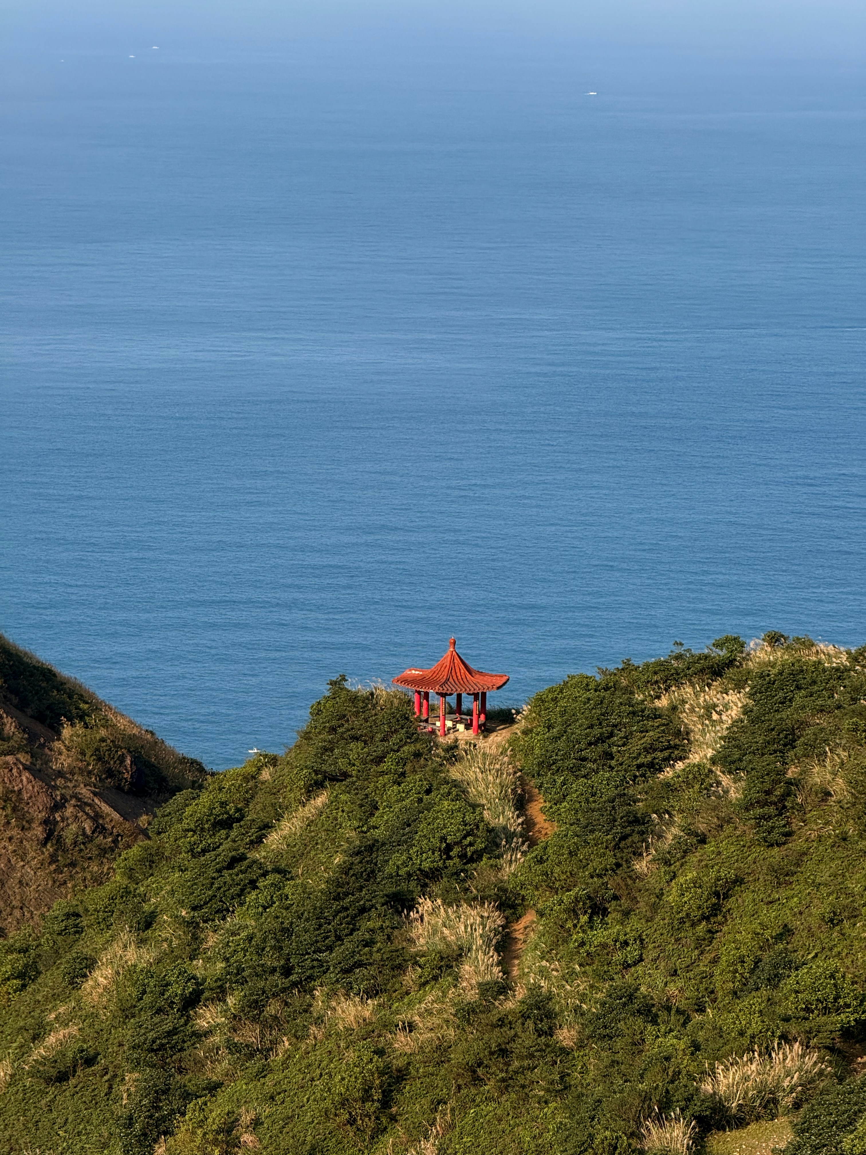 Photo by artemisss666