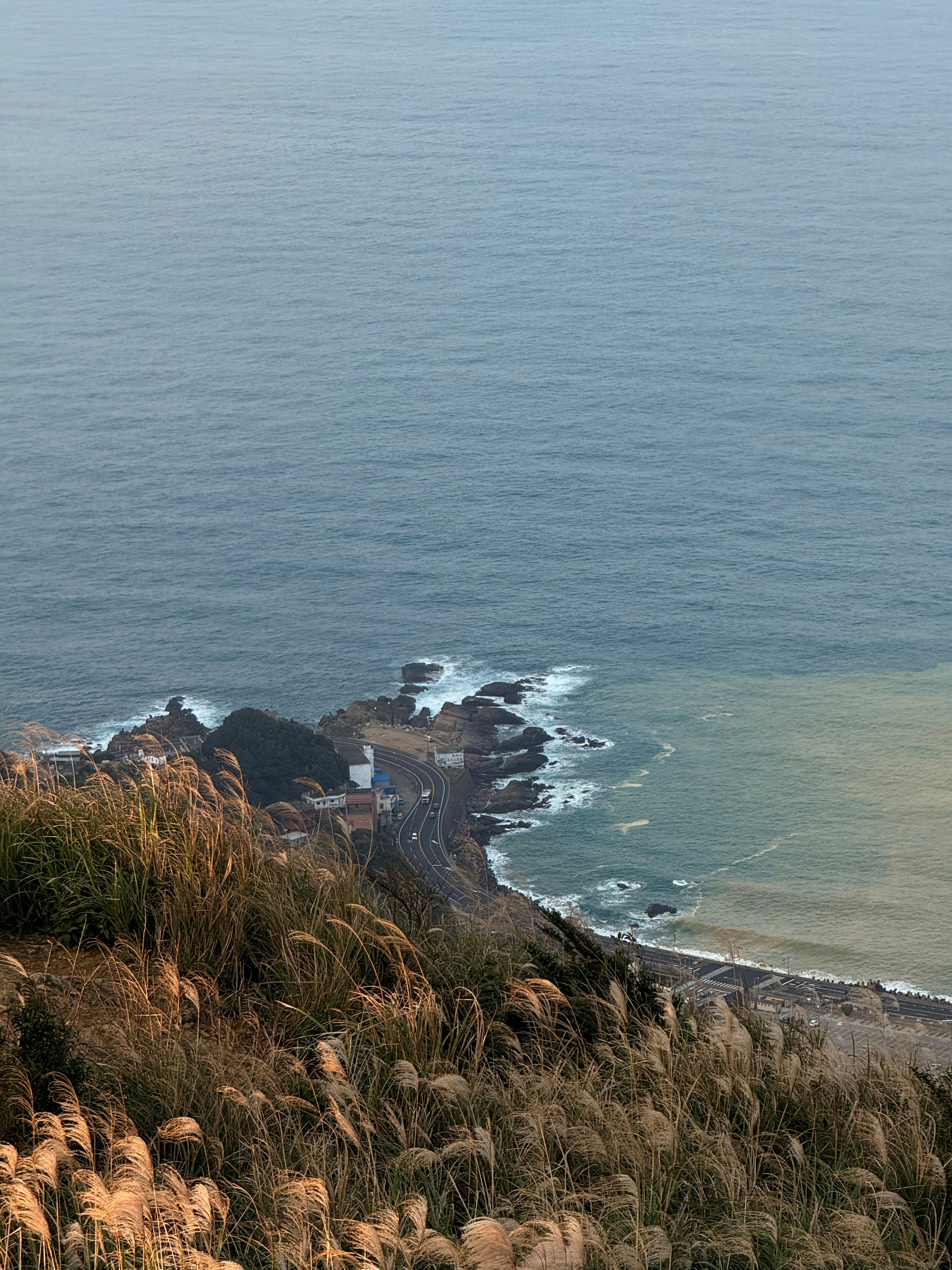 Photo by artemisss666