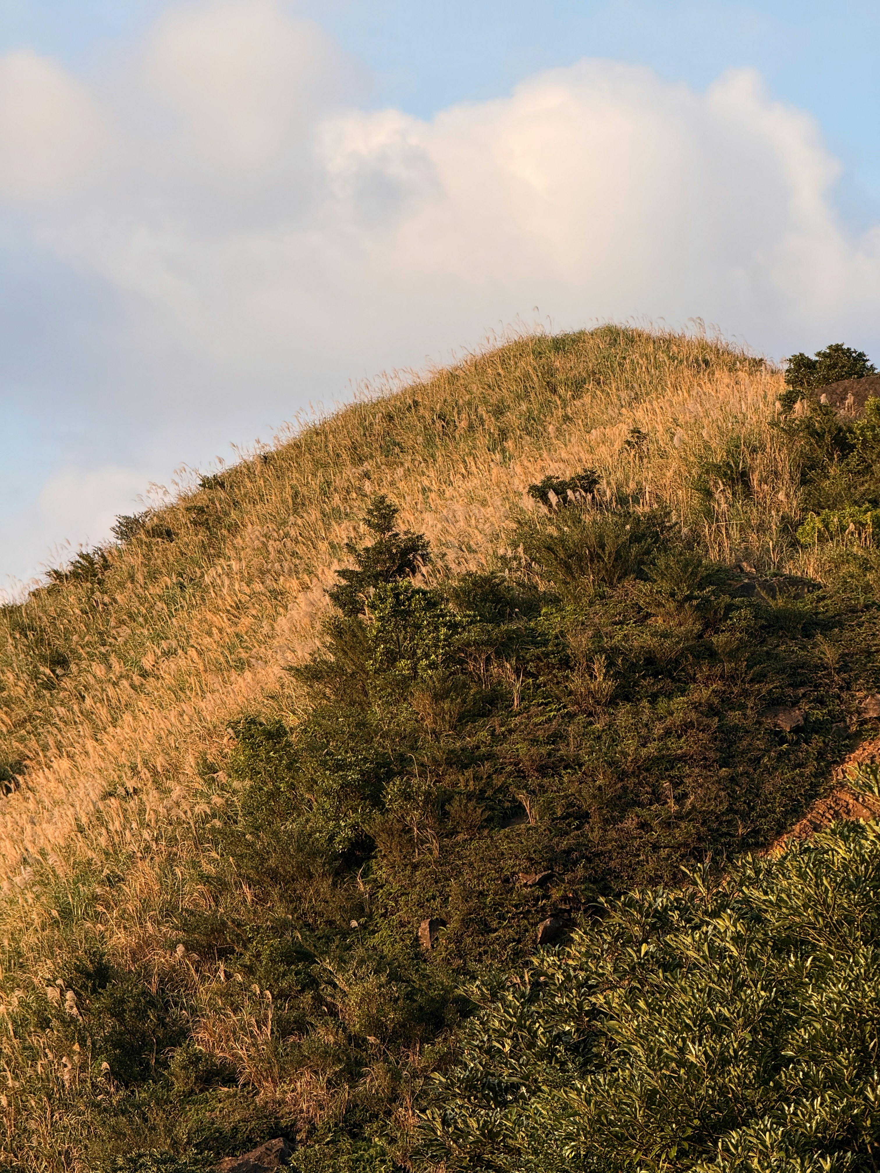 Photo by artemisss666