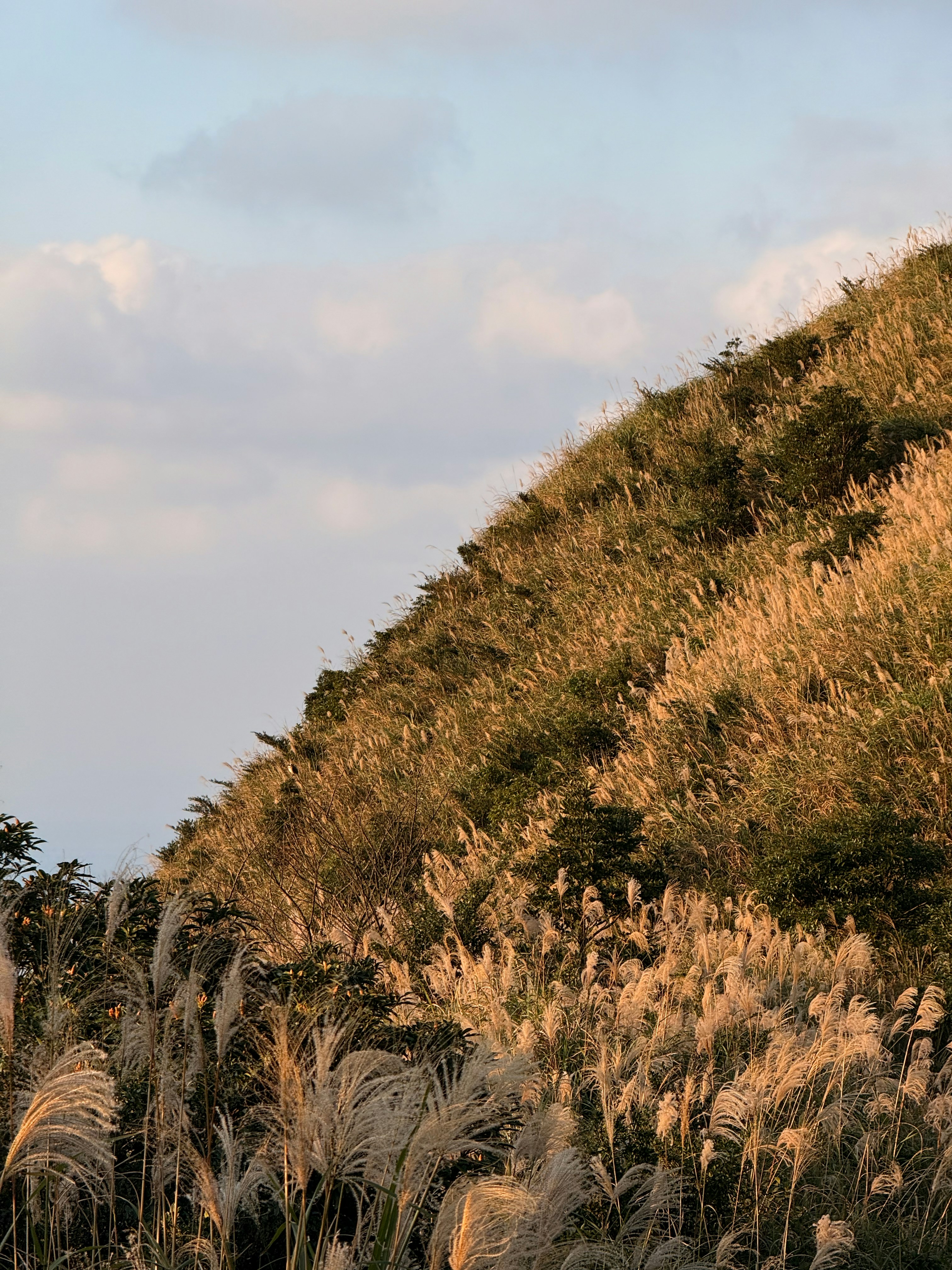 Photo by artemisss666