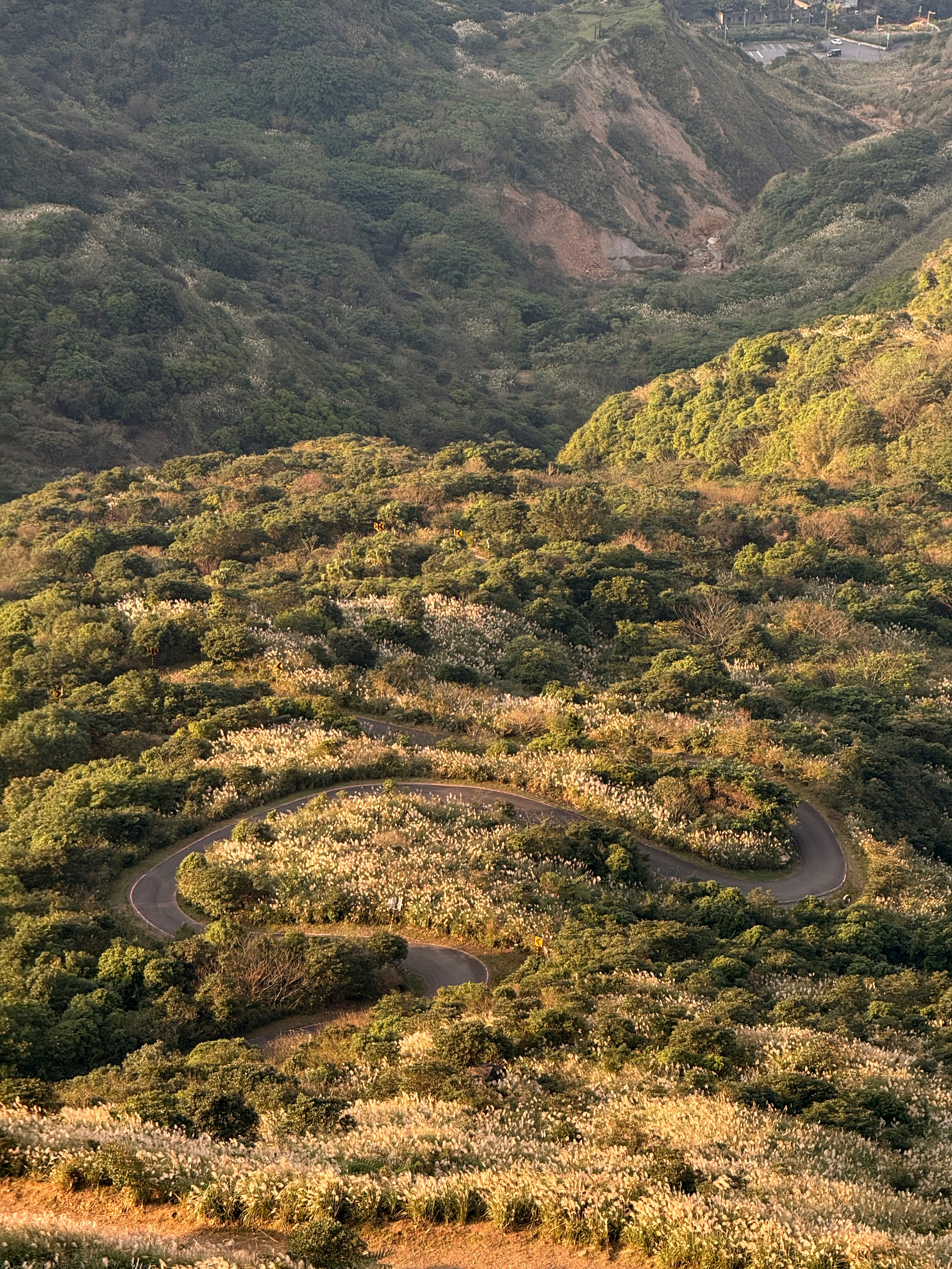 Photo by artemisss666