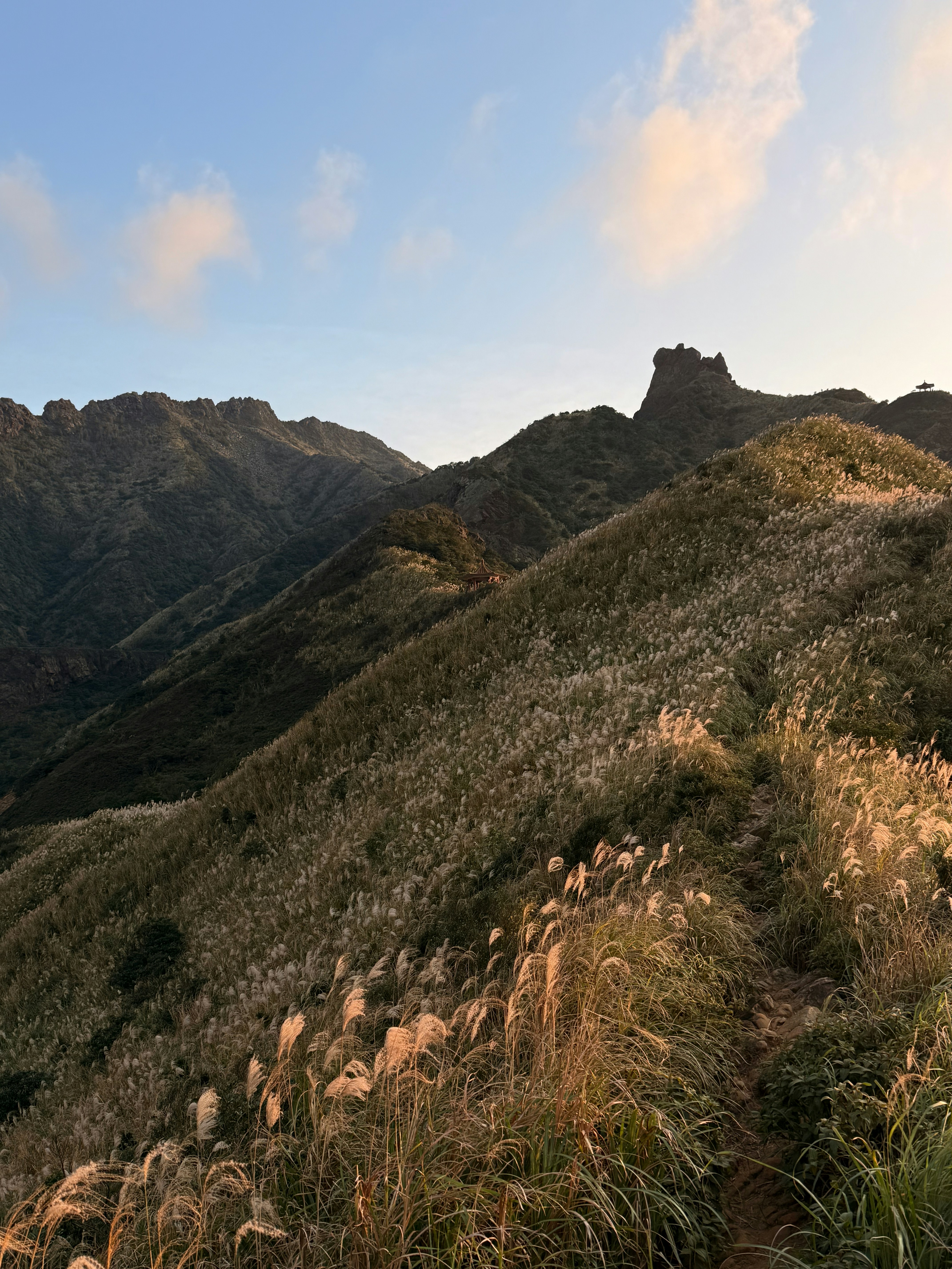 Photo by artemisss666