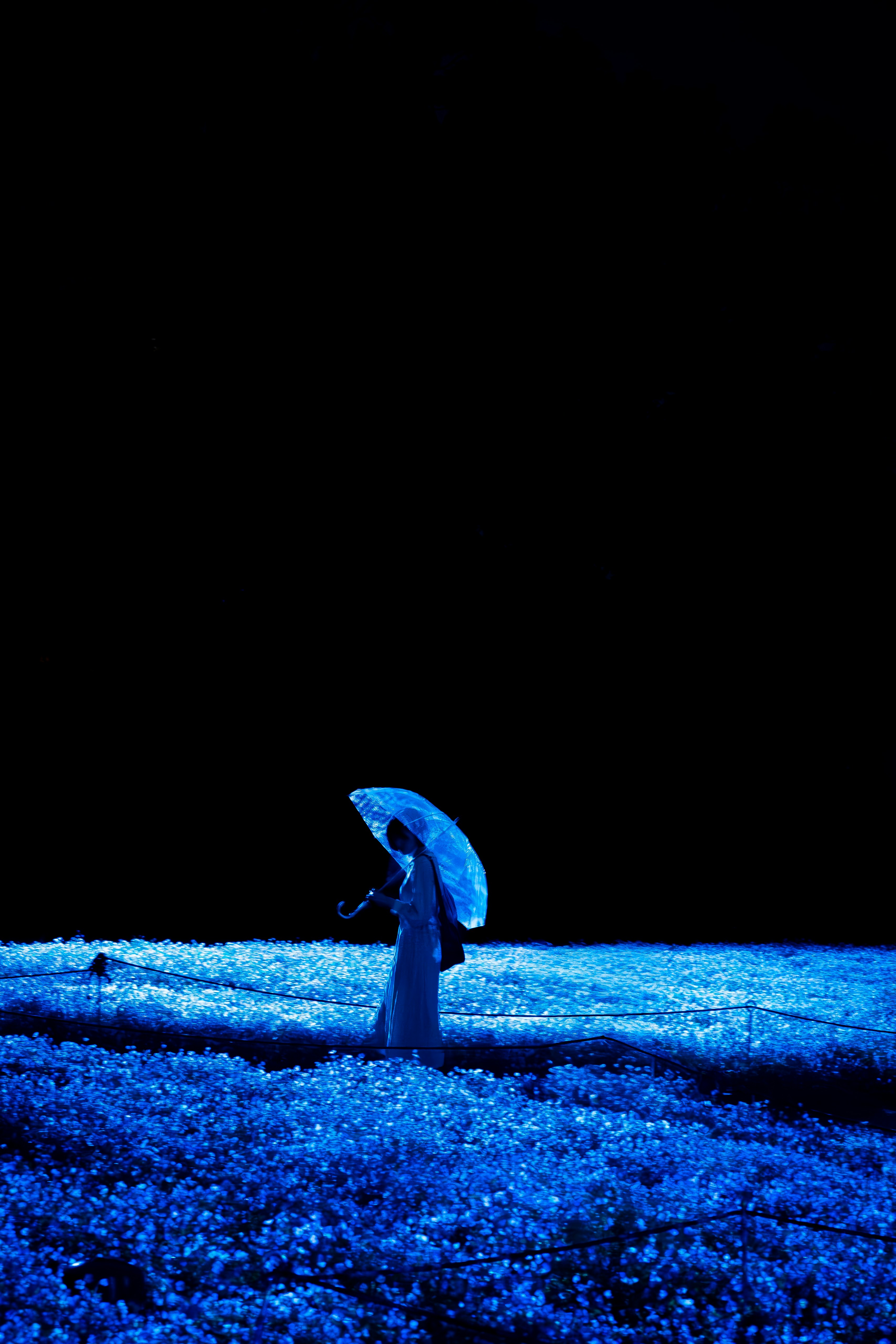 Woman with glowing umbrella in a field of flowers