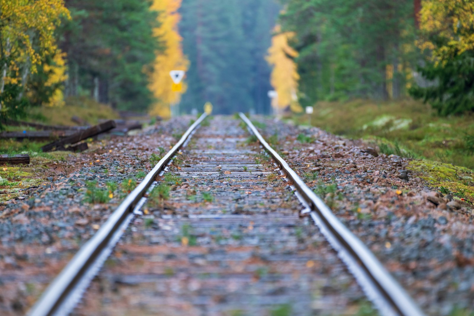 Low angle view down a single railroad track running straight into a forest of yellow and green autumn trees