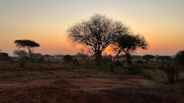 Golden hour sunrise light for crater rim photography Ngorongoro Tanzania