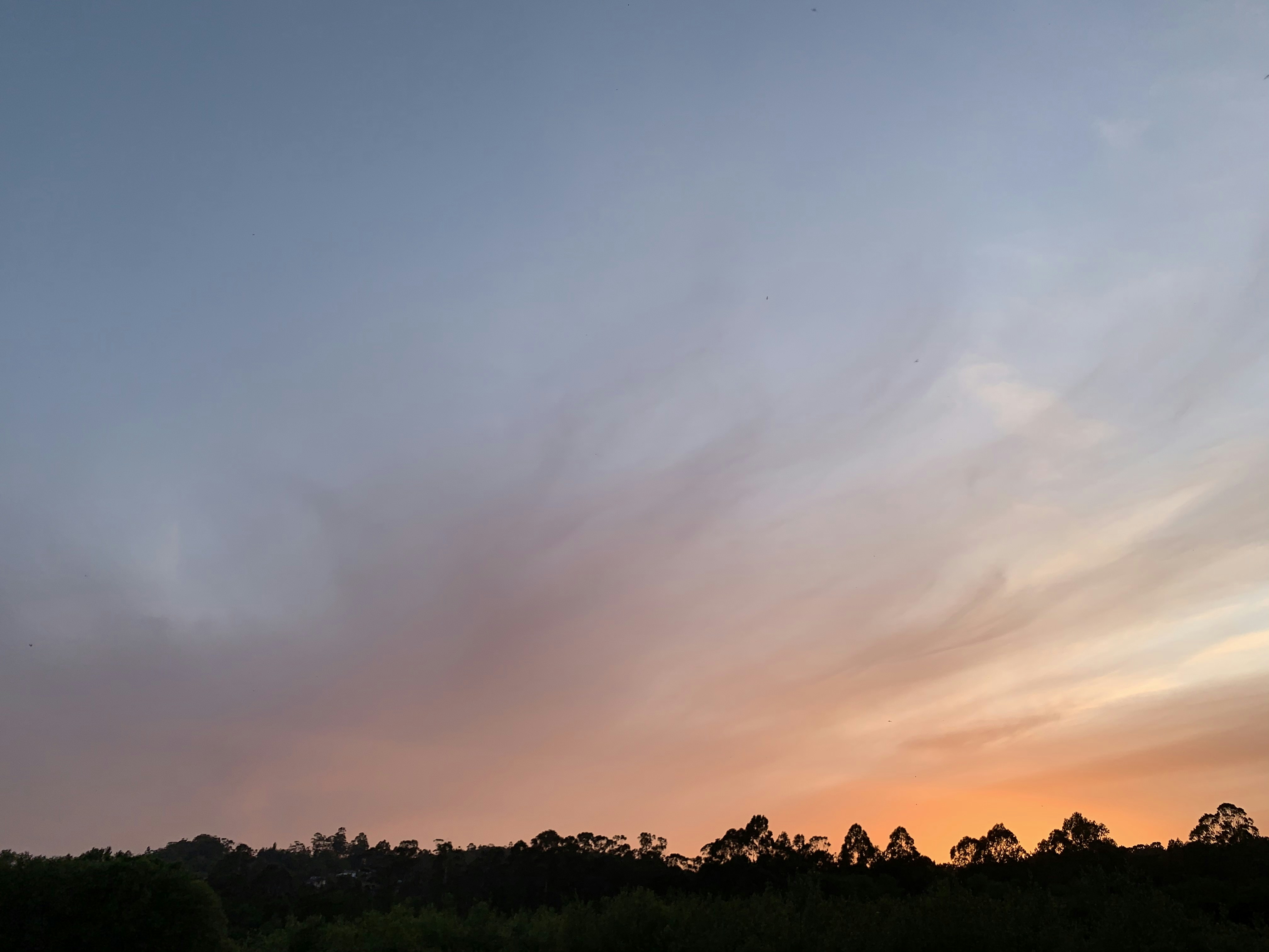 Sunset sky with clouds over silhouetted trees