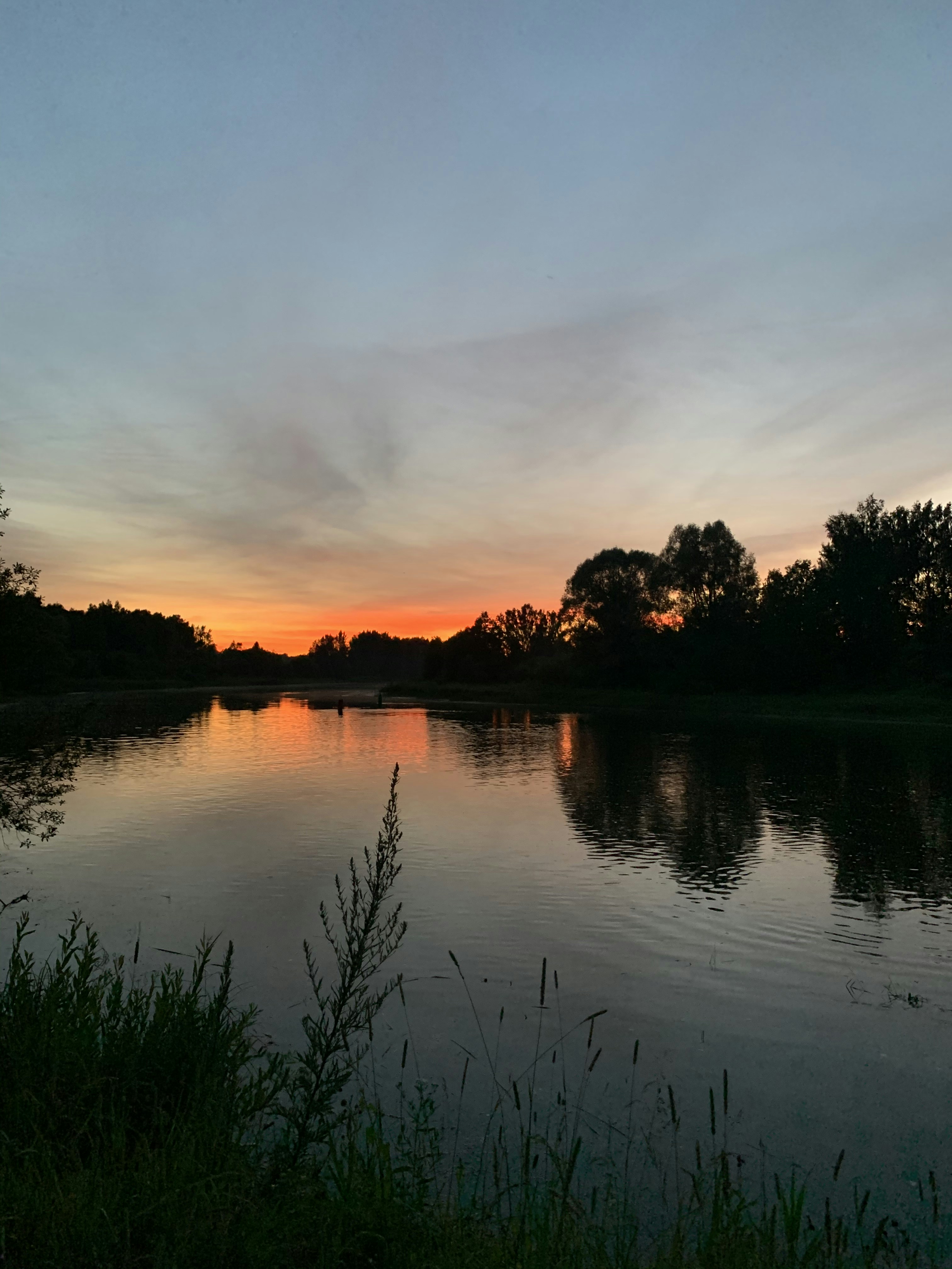 Photo by sergei_gussev