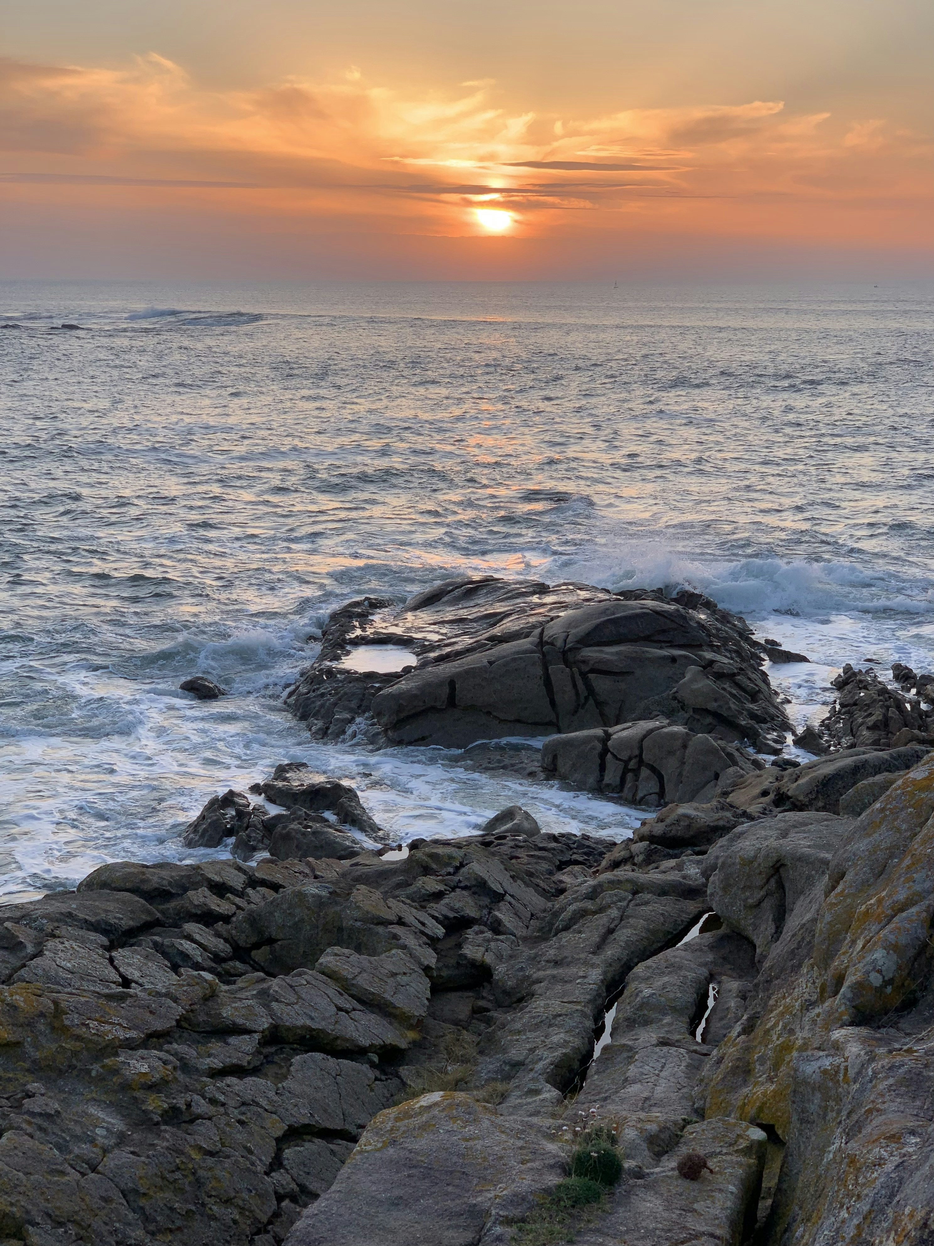 Photo by sergei_gussev