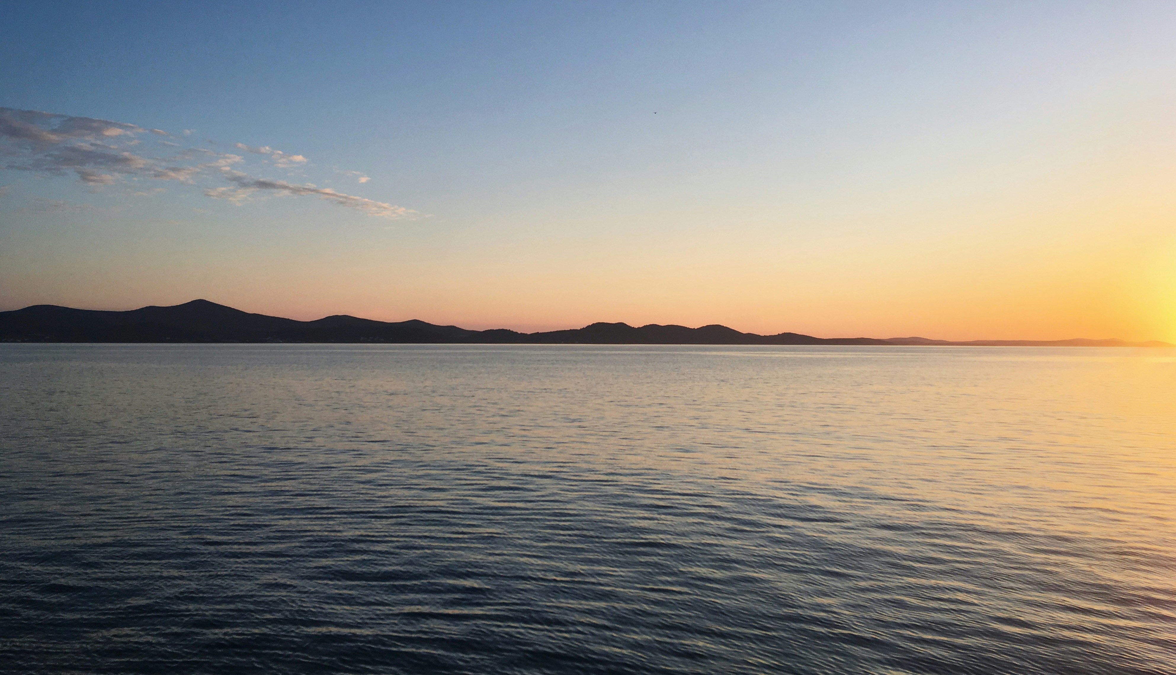 Photo by sergei_gussev