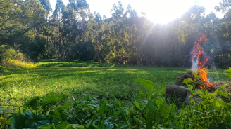 Sunlight shines on a grassy field with a small fire.