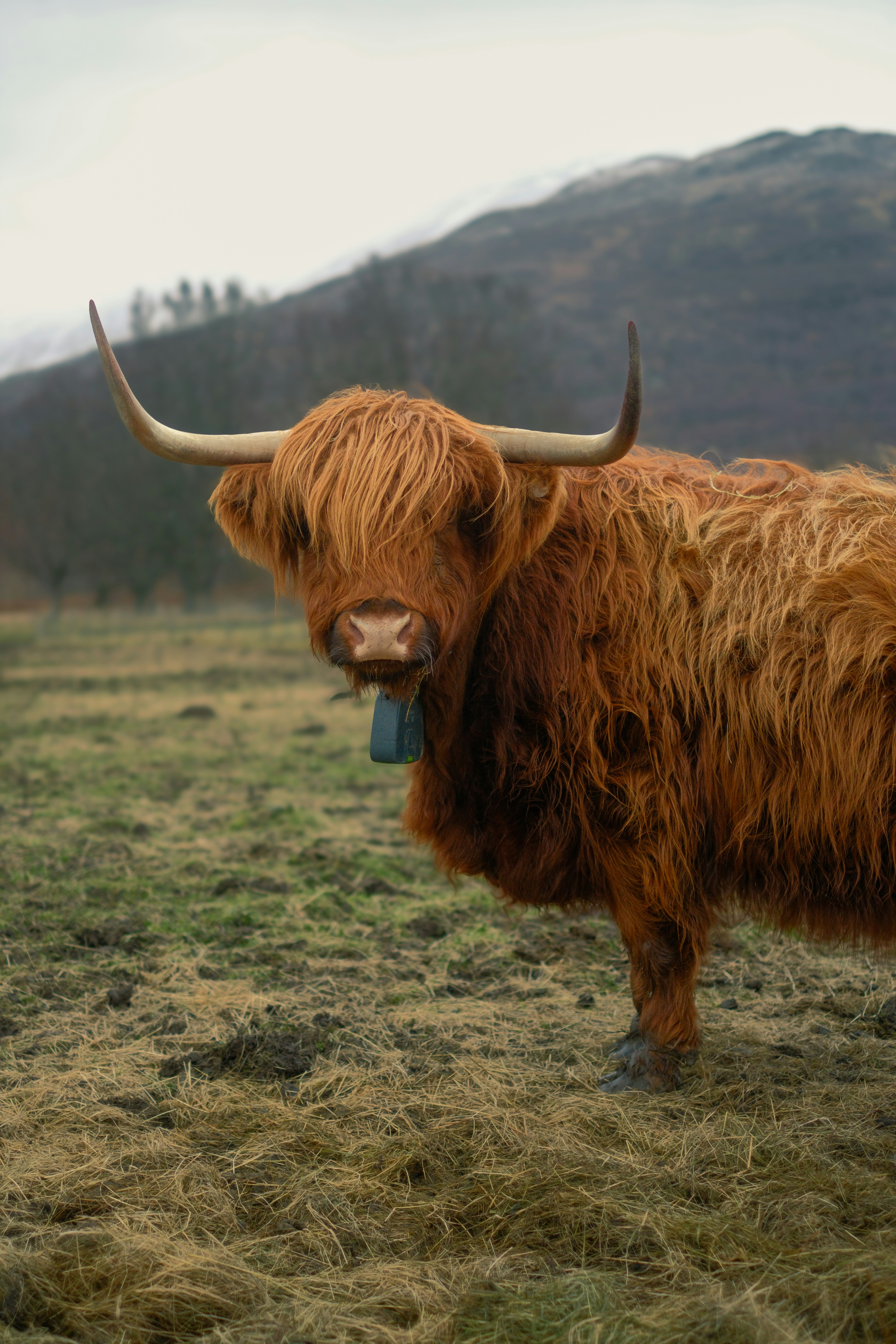 Photo by ginkgoshutter