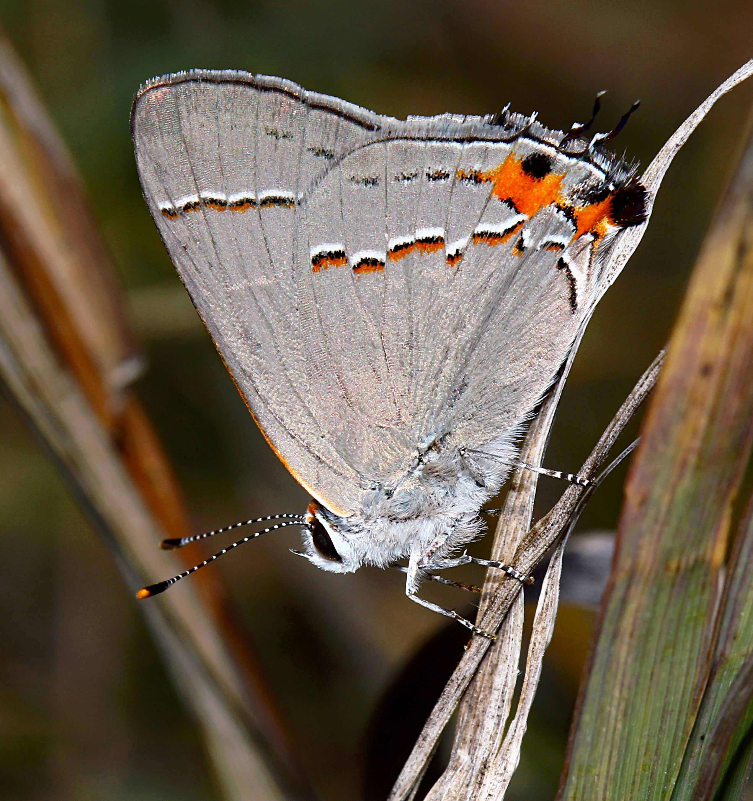 Photo by telliottmbamsc