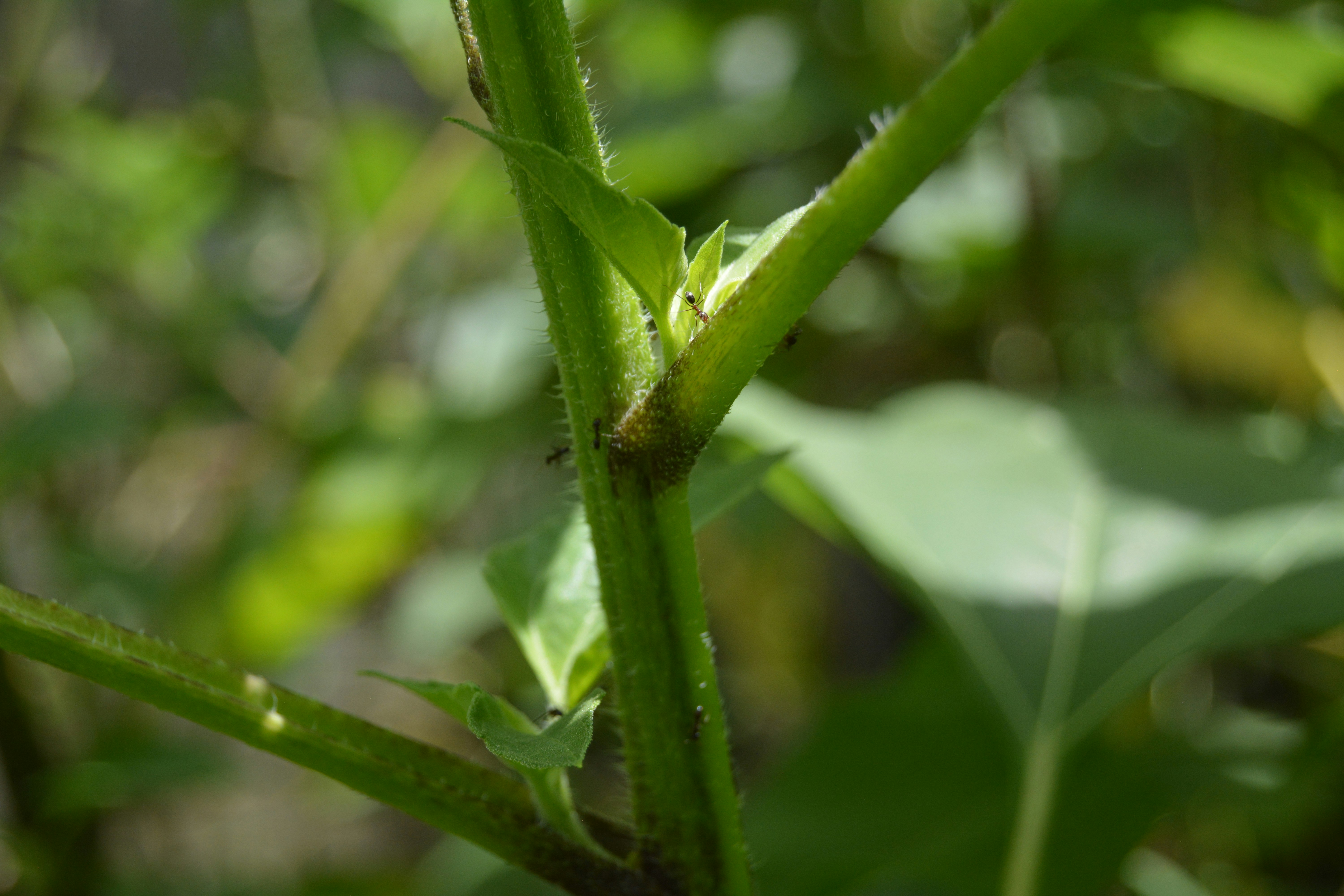 Photo by impossibleboi