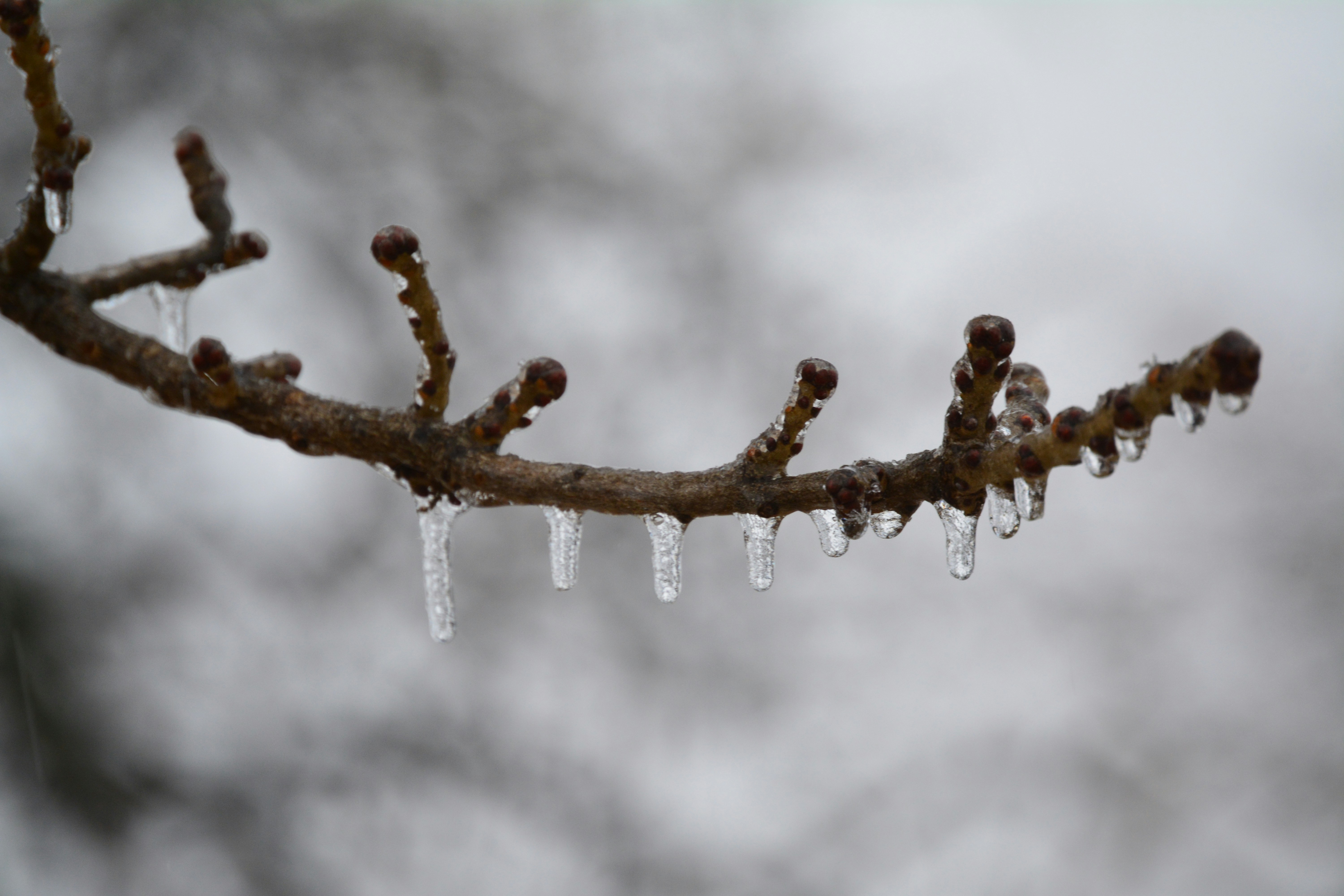 Photo by impossibleboi