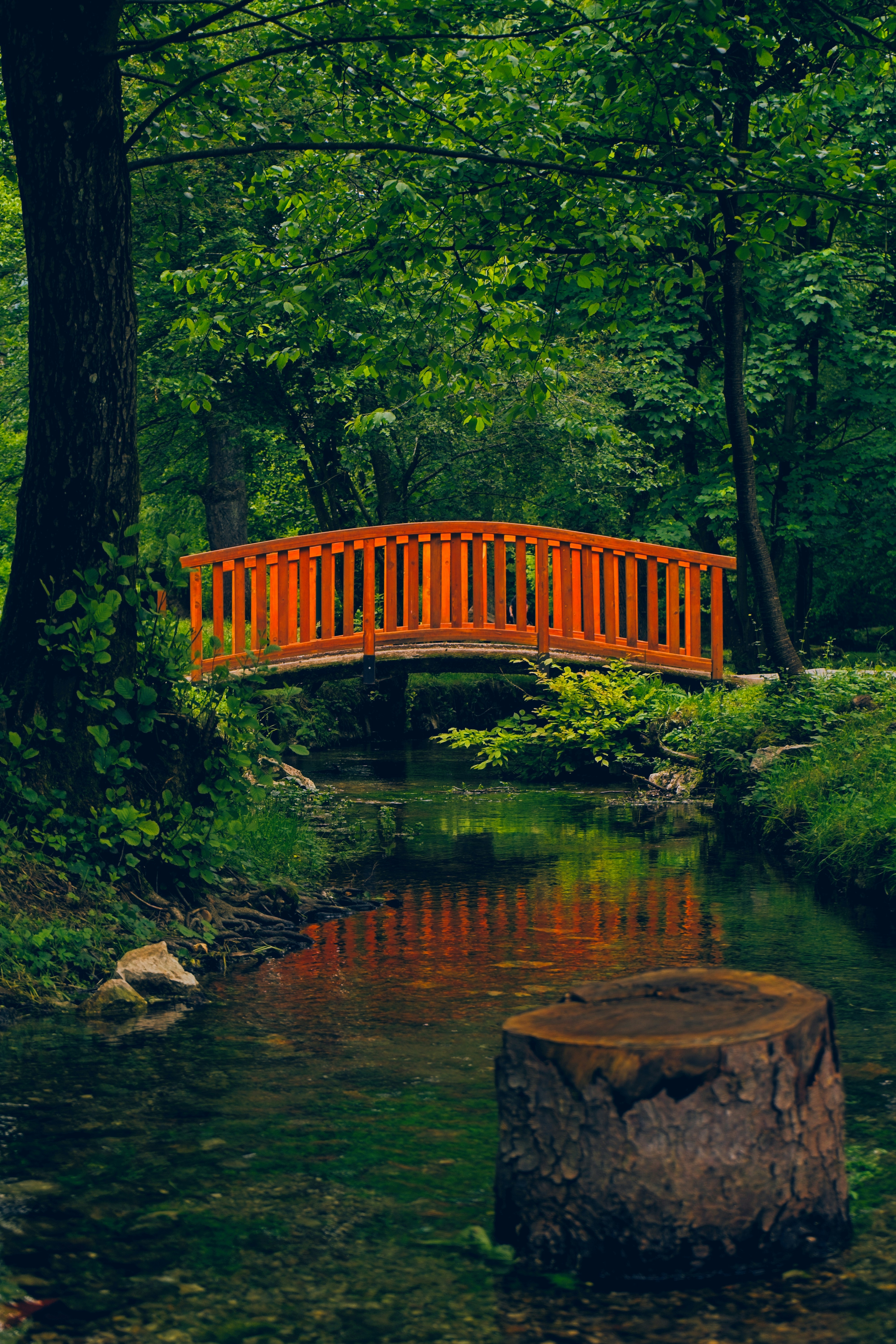 Puente naranja sobre un arroyo en un bosque frondoso