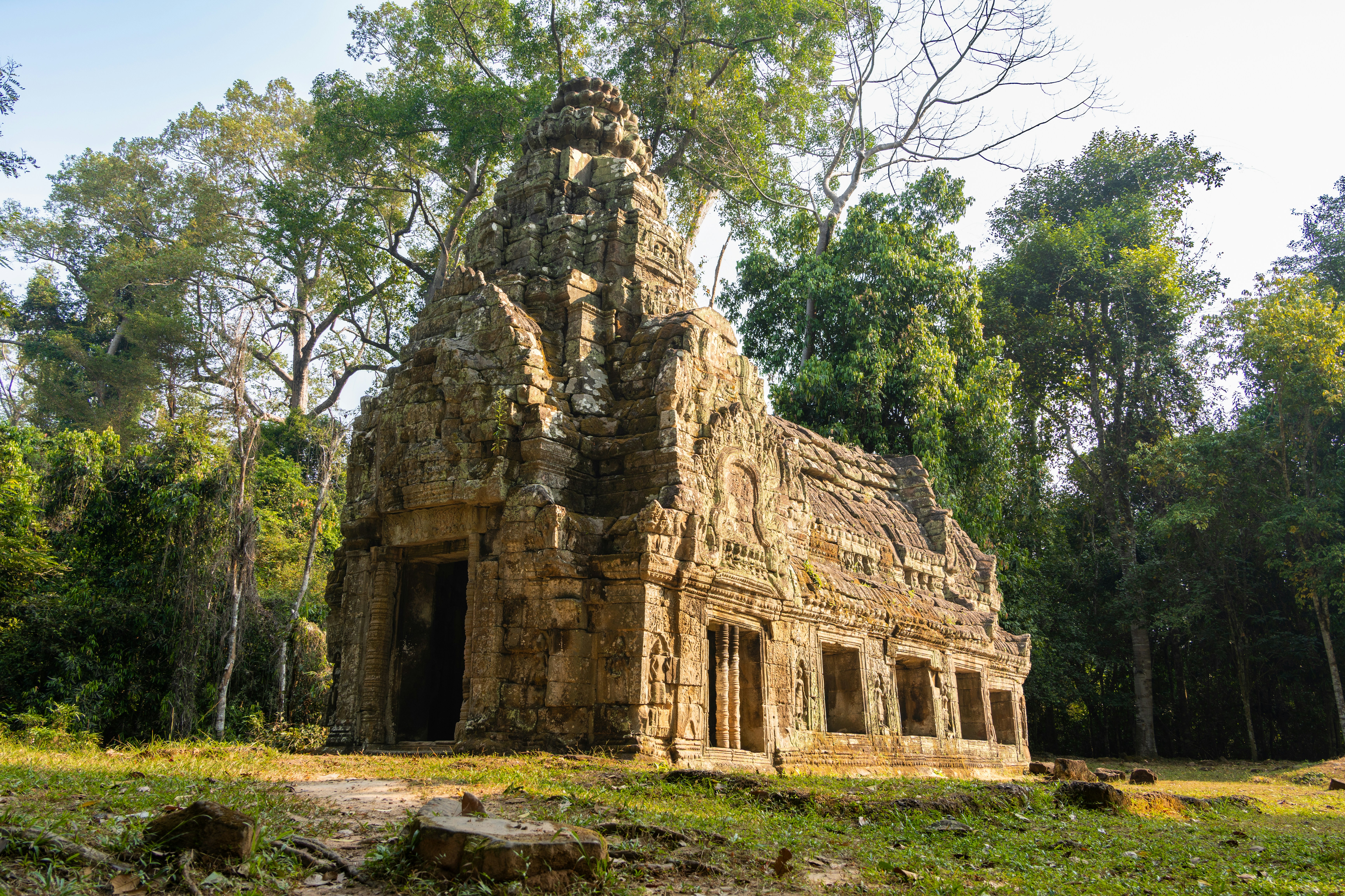Ancient stone temple ruins surrounded by lush jungle trees