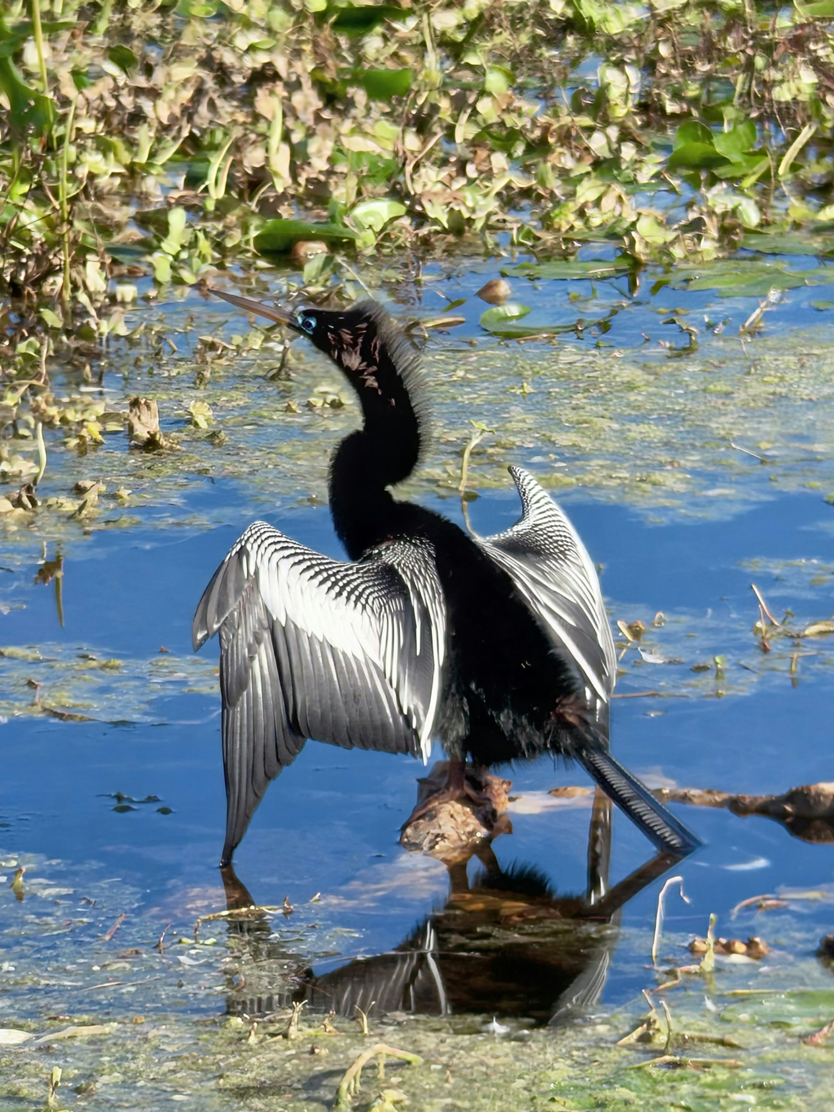 Photo by sampsoncollaborative