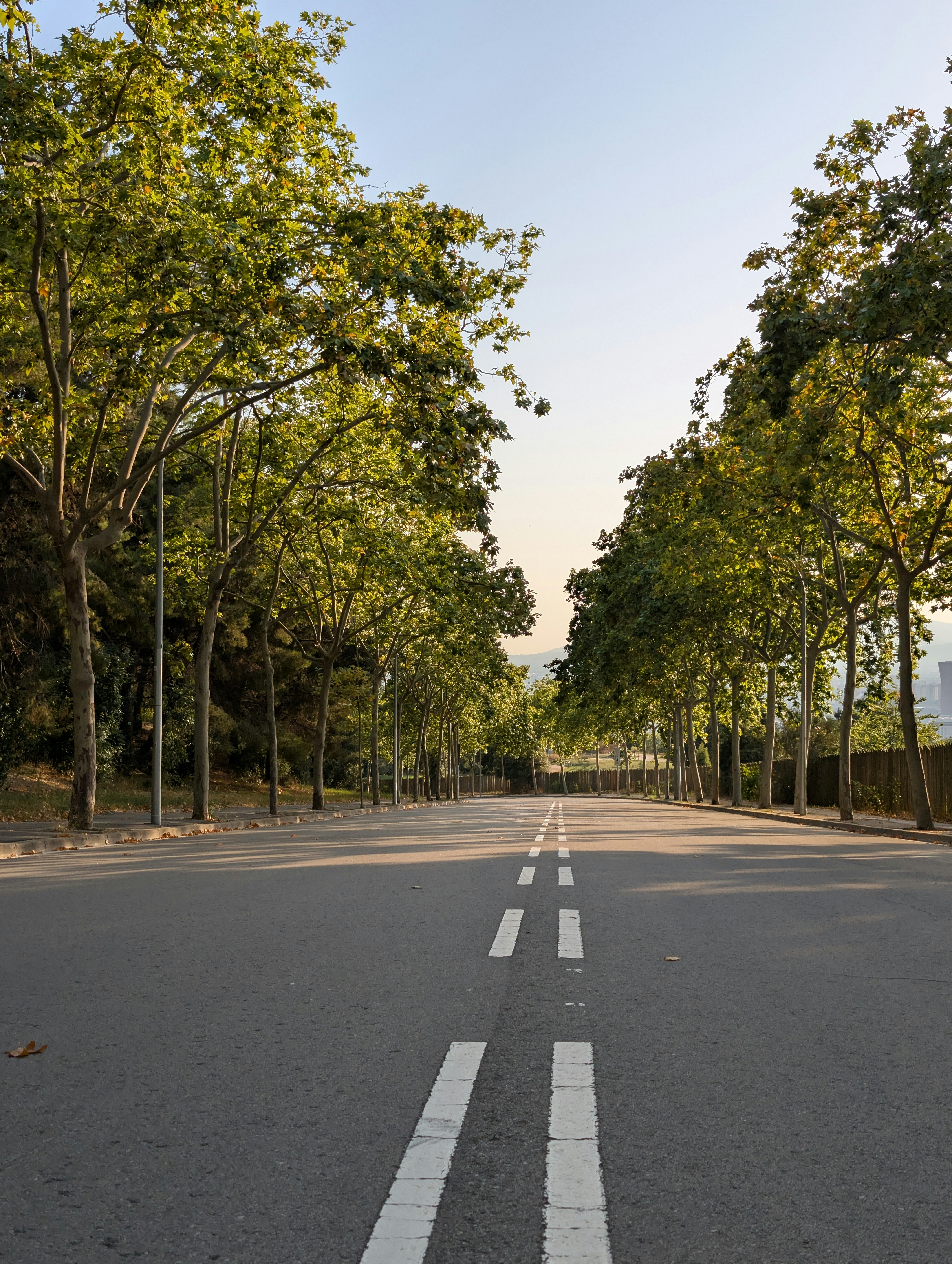 Photo by levpoltavskyy