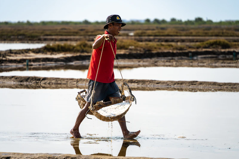 Salt worker carrying harvested salt across the pans