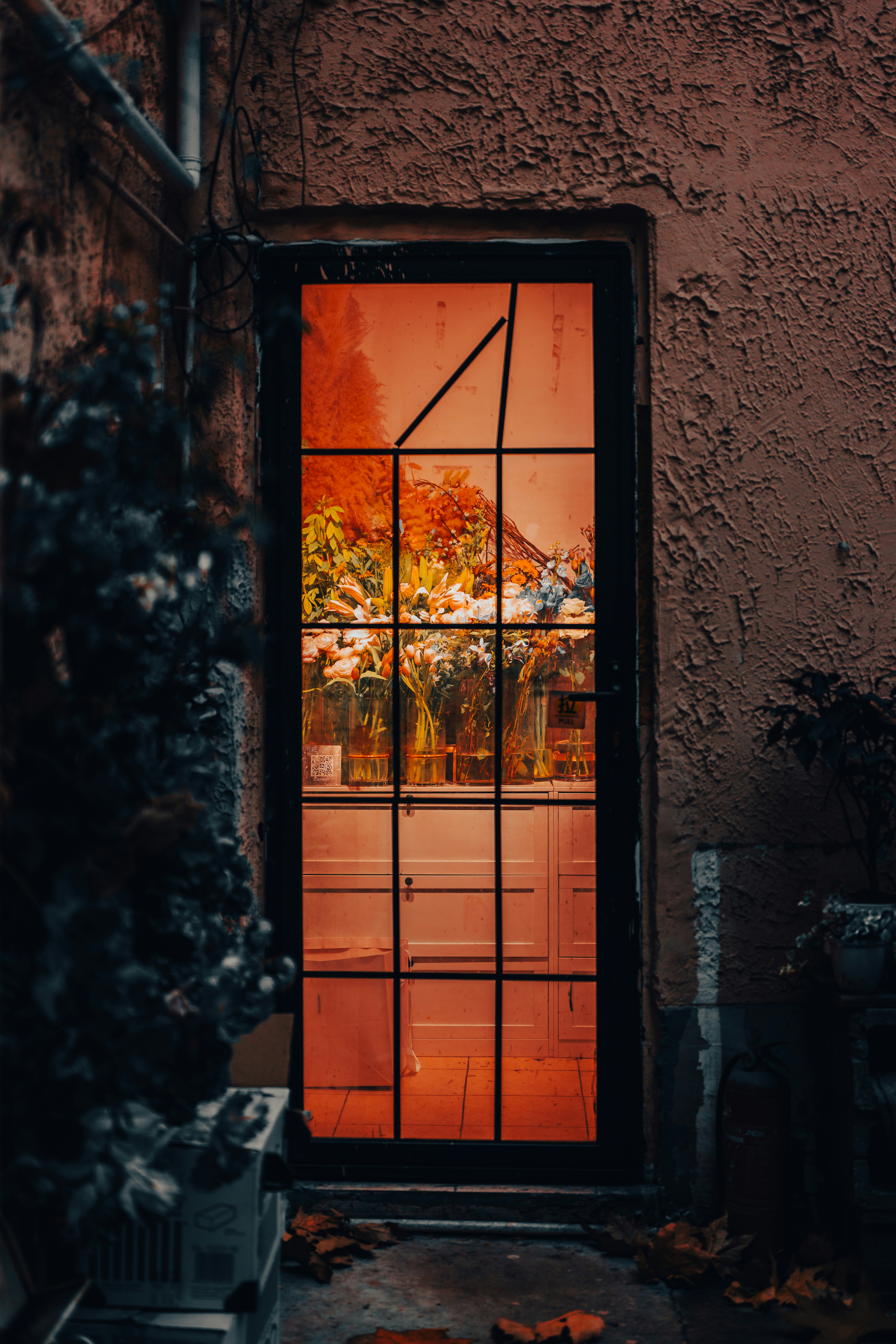 Doorway to a flower shop with vibrant bouquets inside lighting