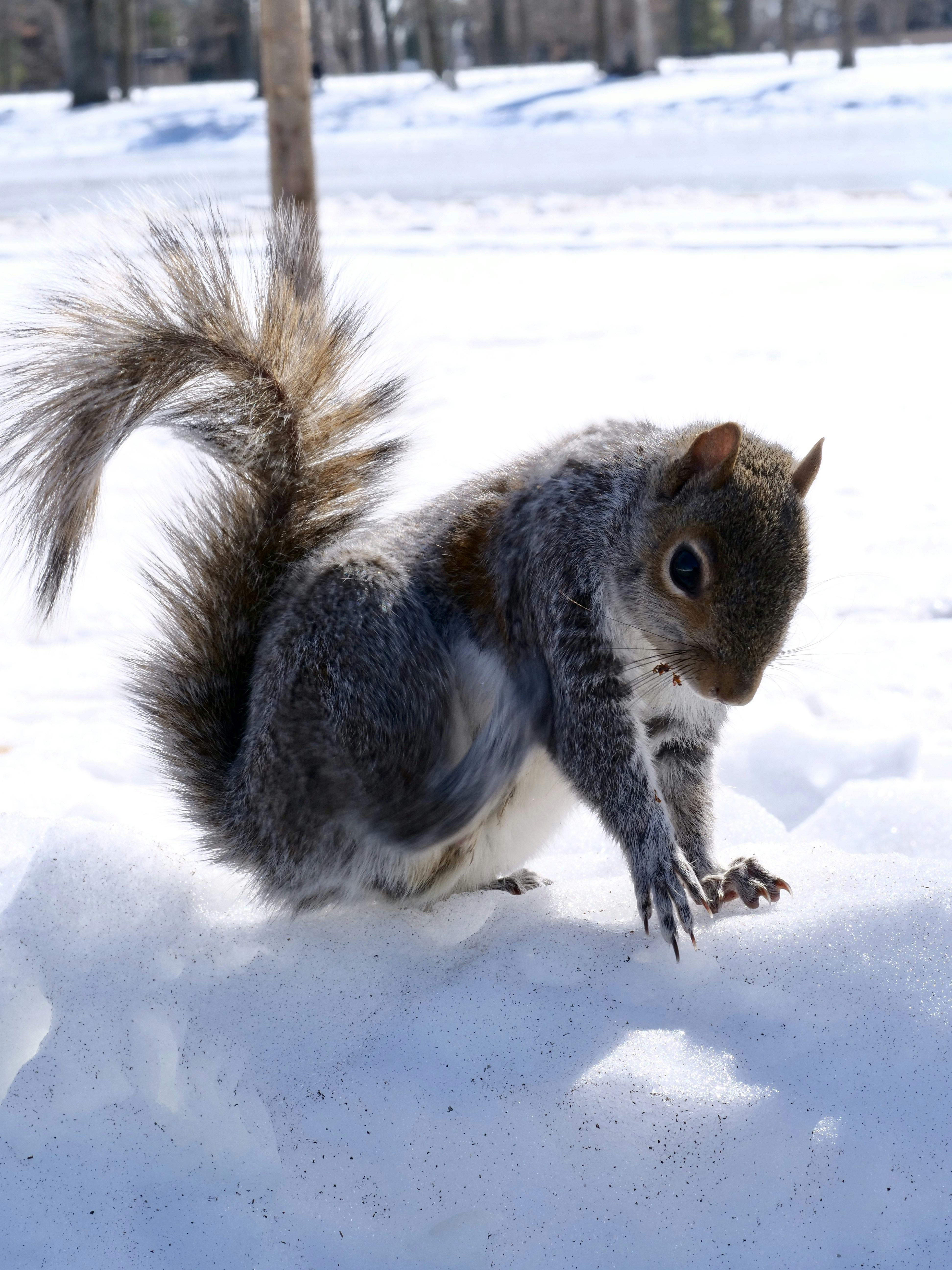 Photo by sschusterphotoart