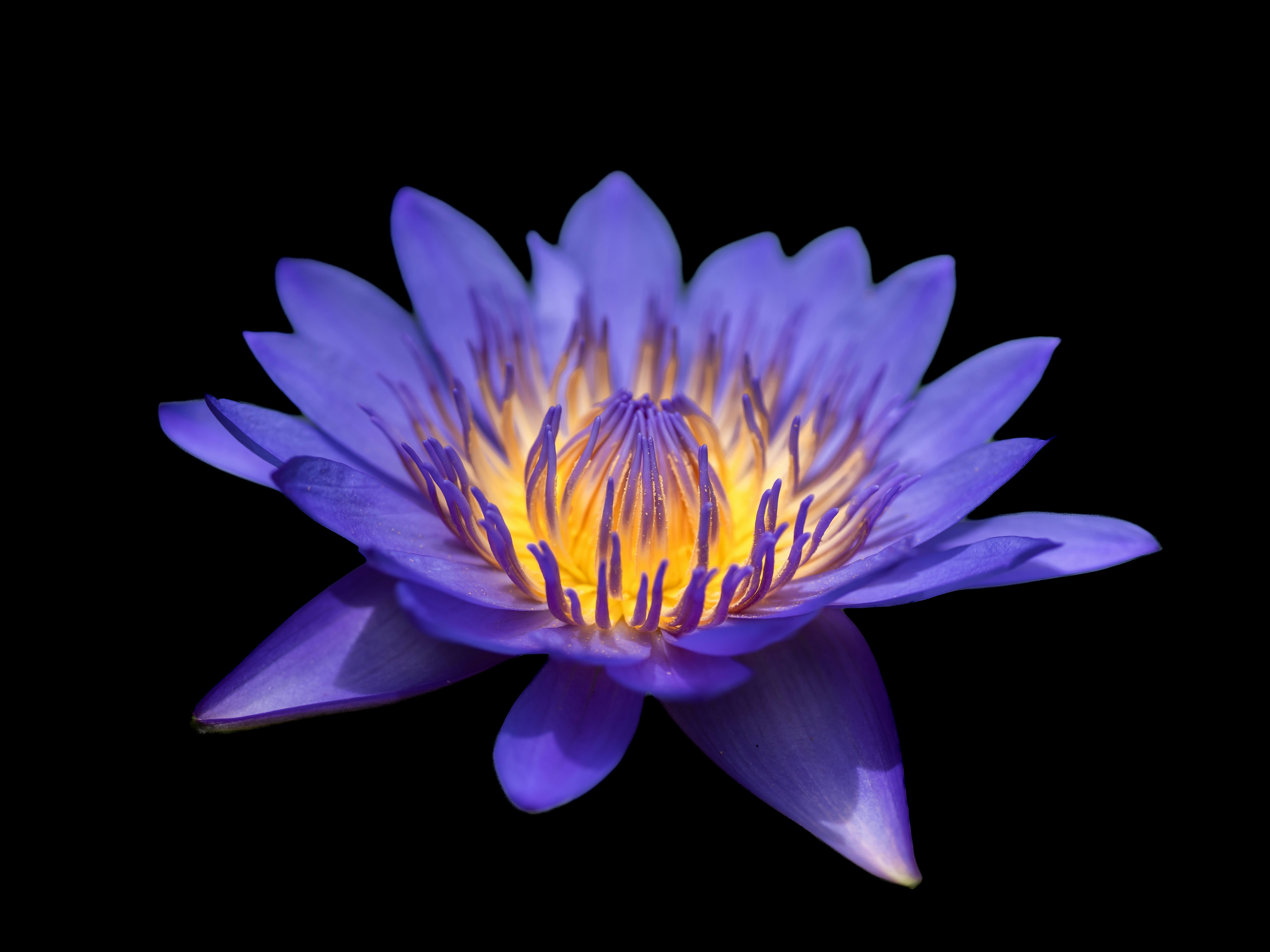 Photo by carolgauthier