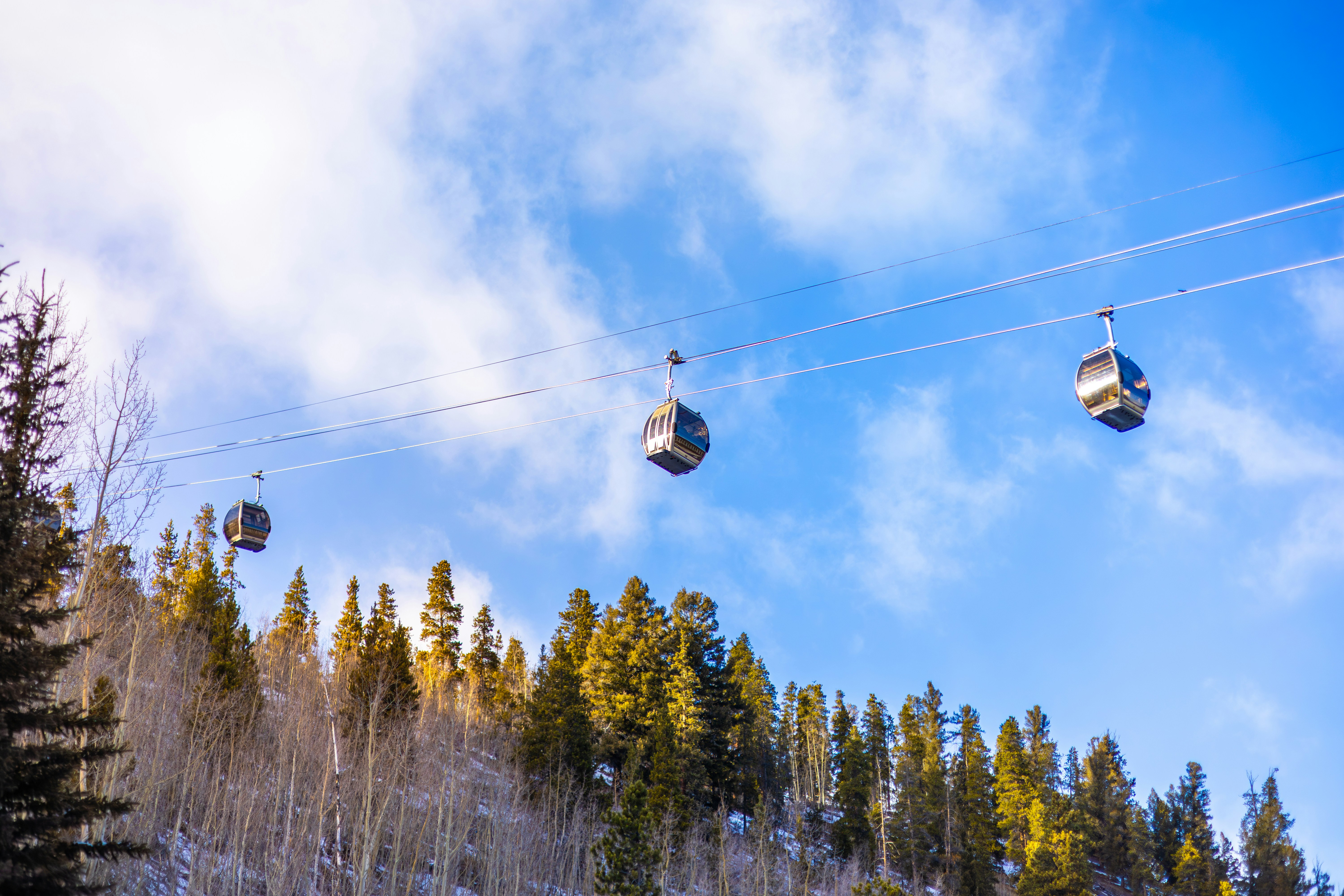 Cable cars ascend a snowy mountain slope with trees.
