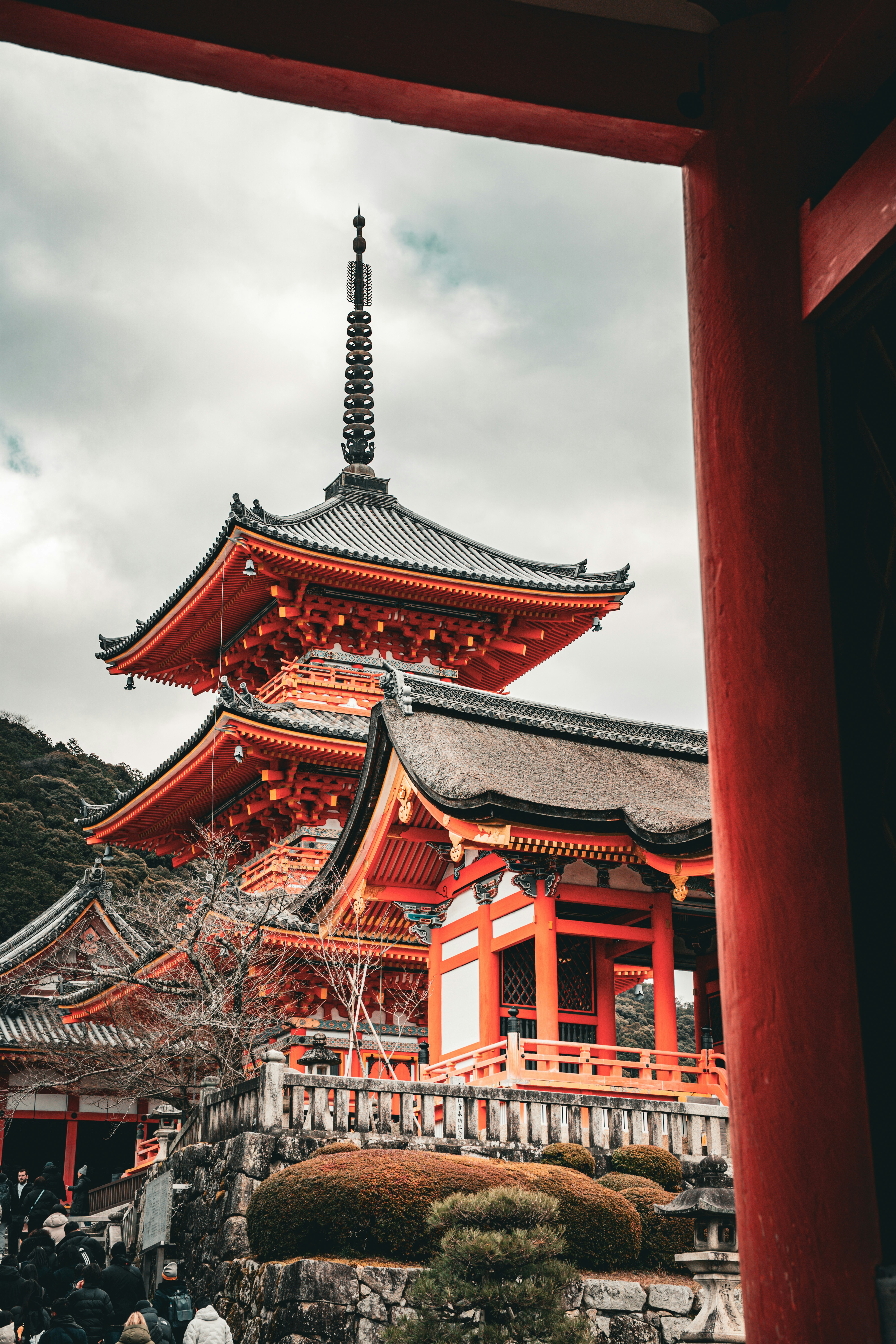 Photo by shalom_ayash