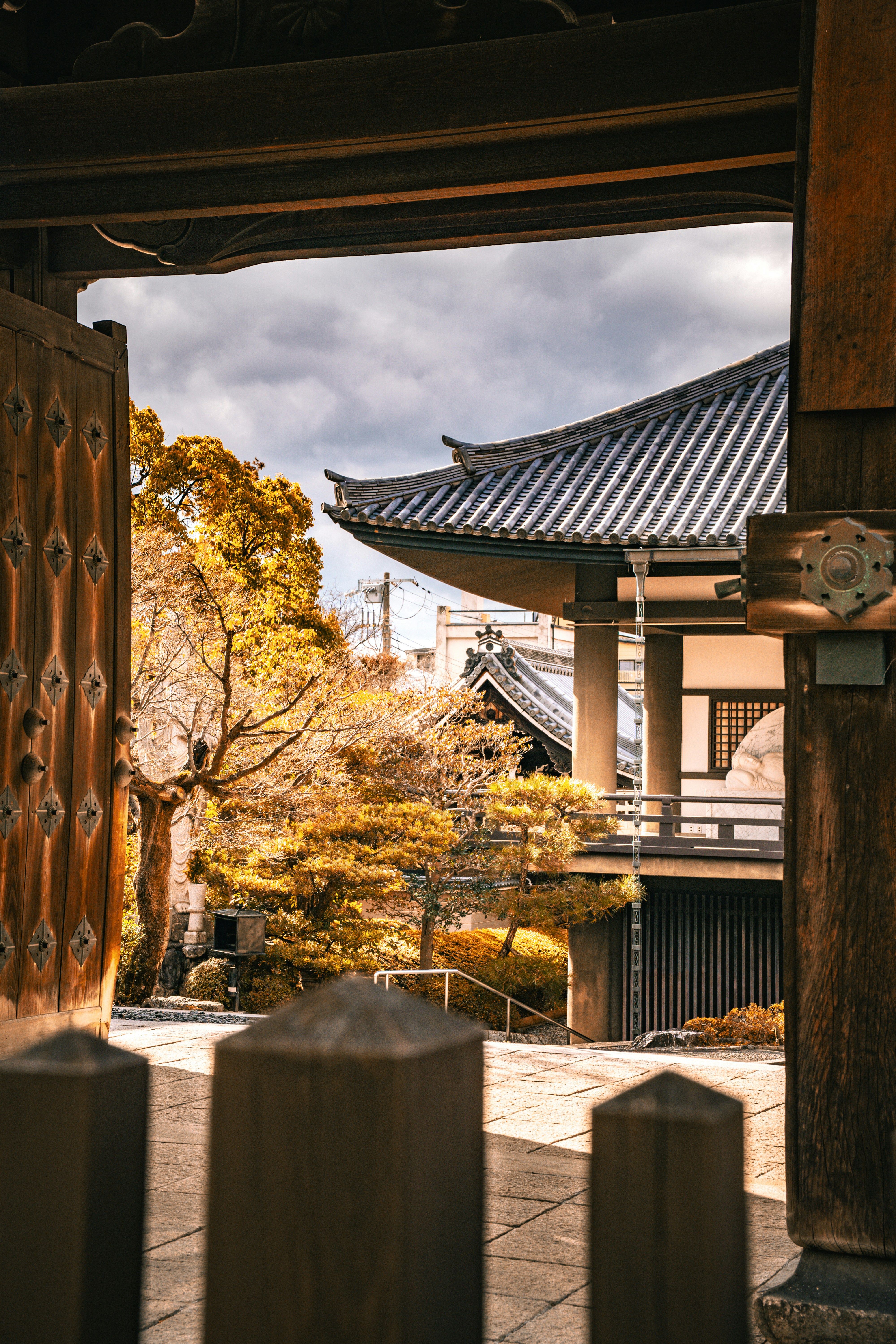 Photo by shalom_ayash