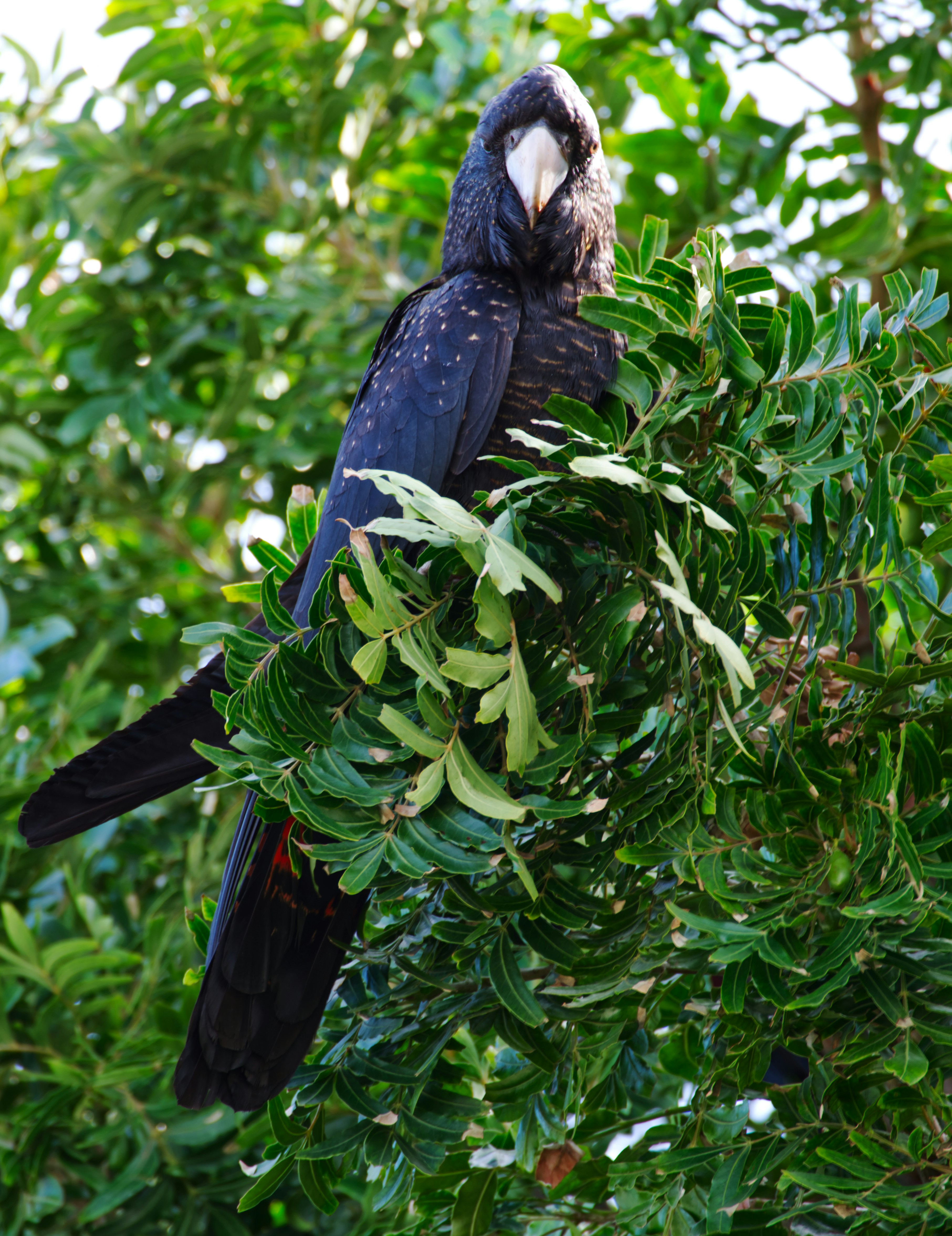 Photo by youarekidding