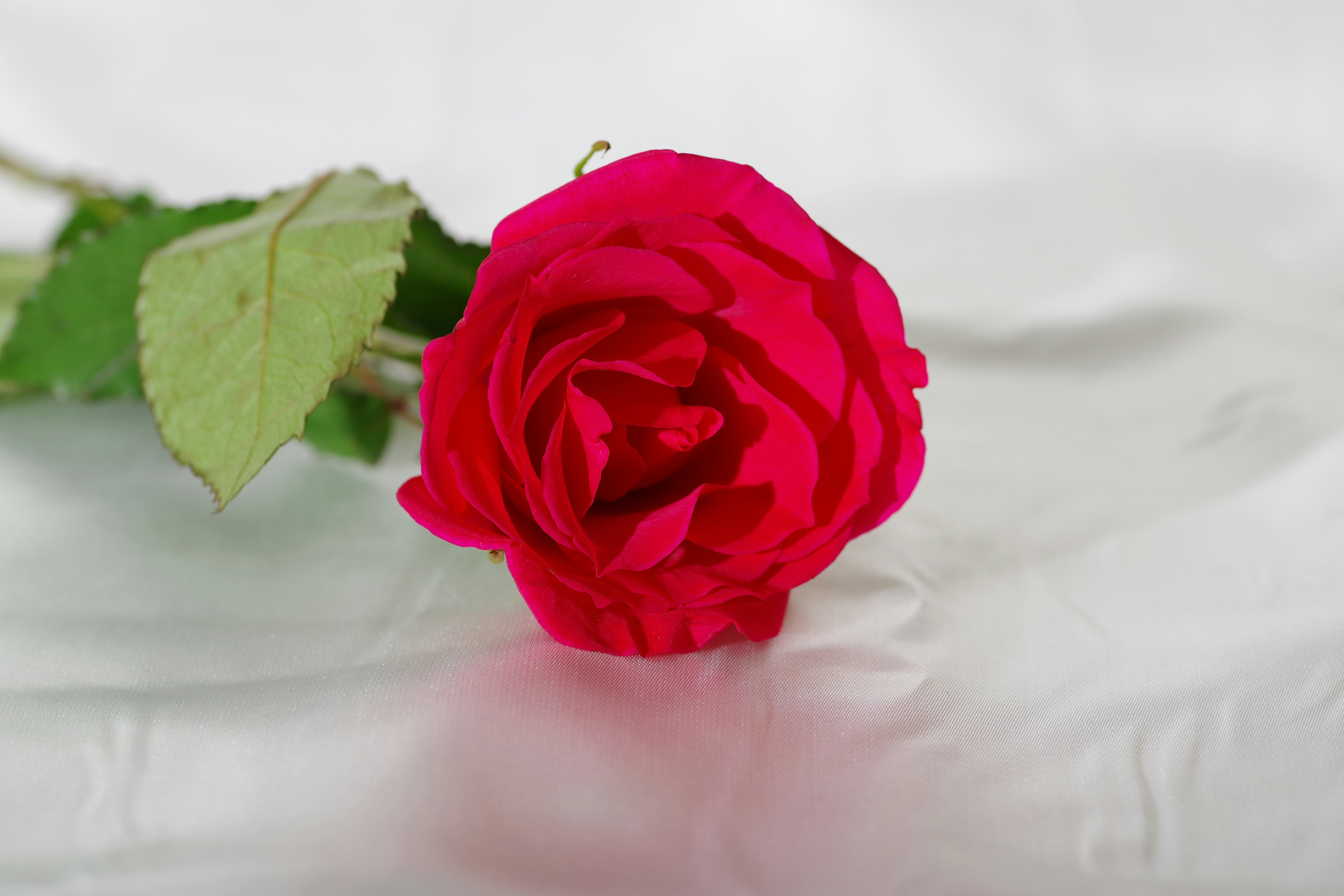 Photo by youarekidding