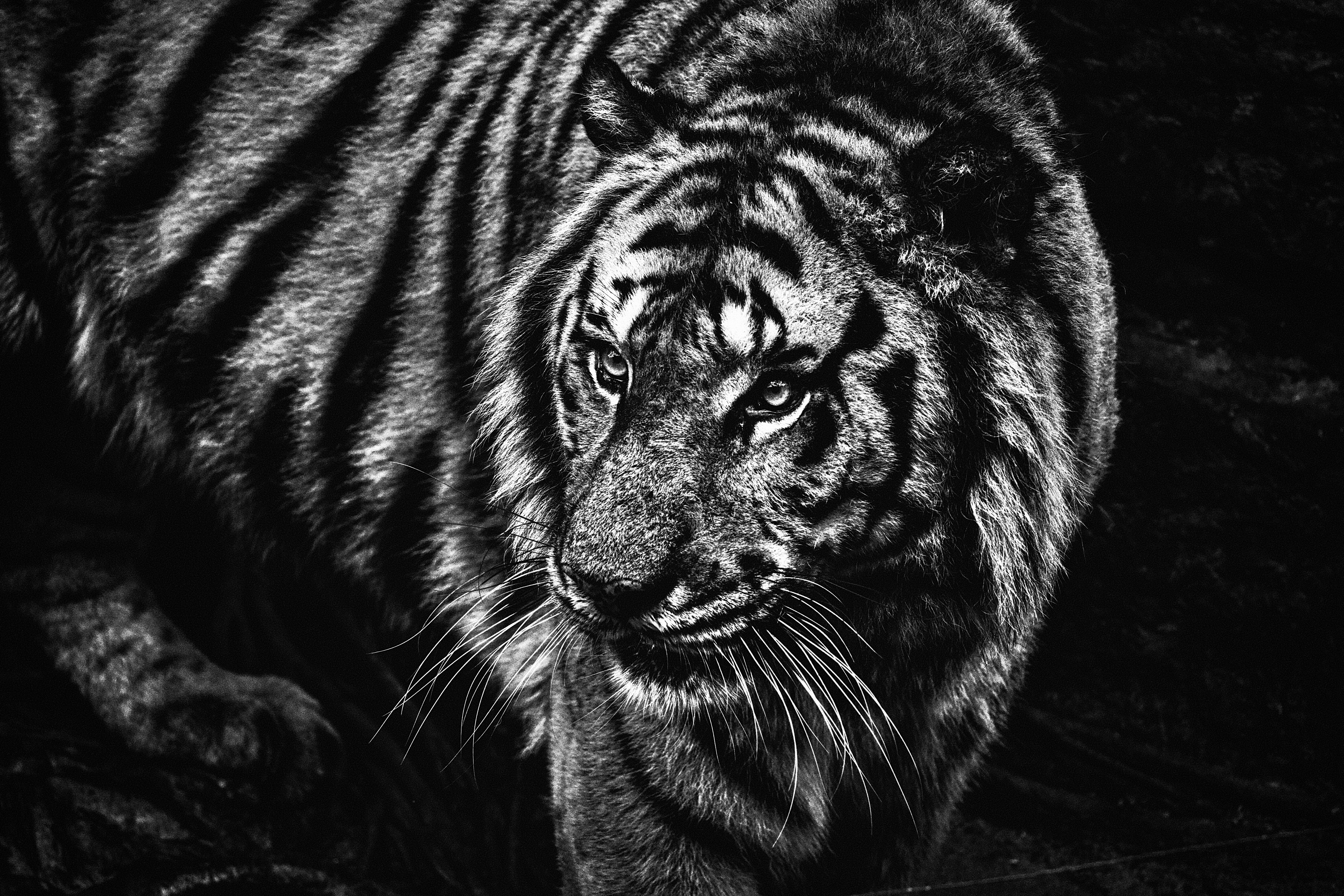 Photo by worldtravelwithjean