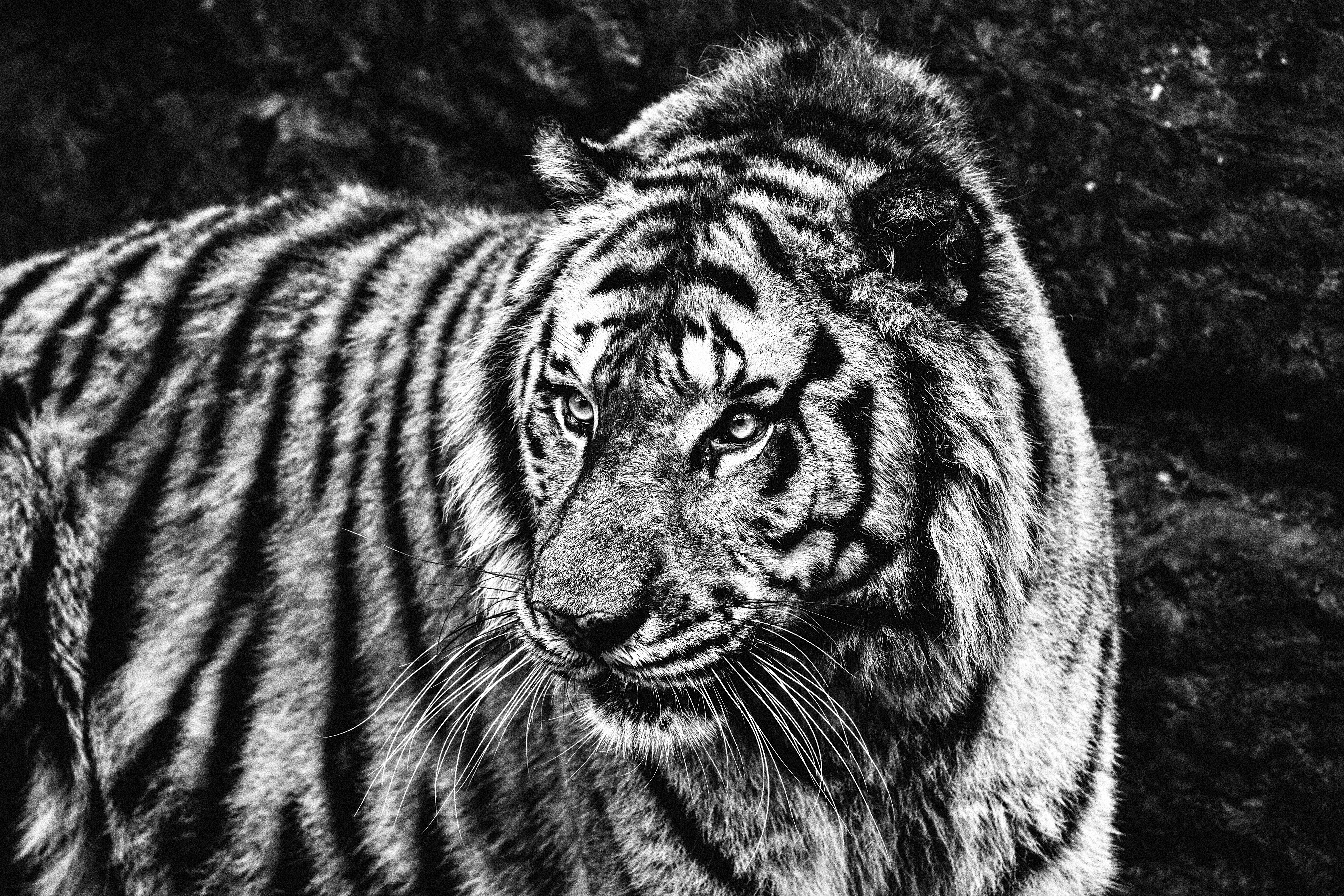 Photo by worldtravelwithjean