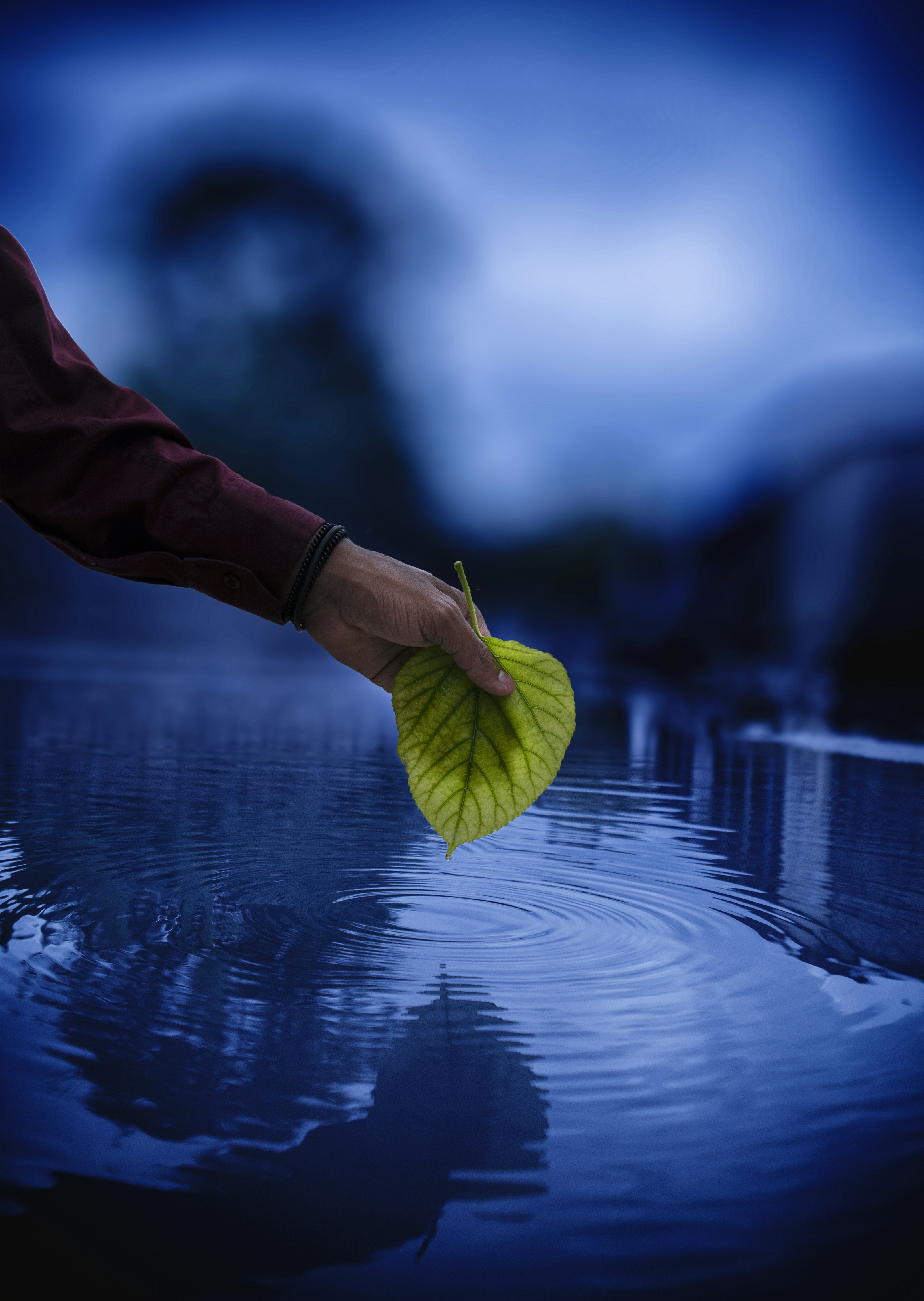 A hand holding a green leaf over rippling blue water