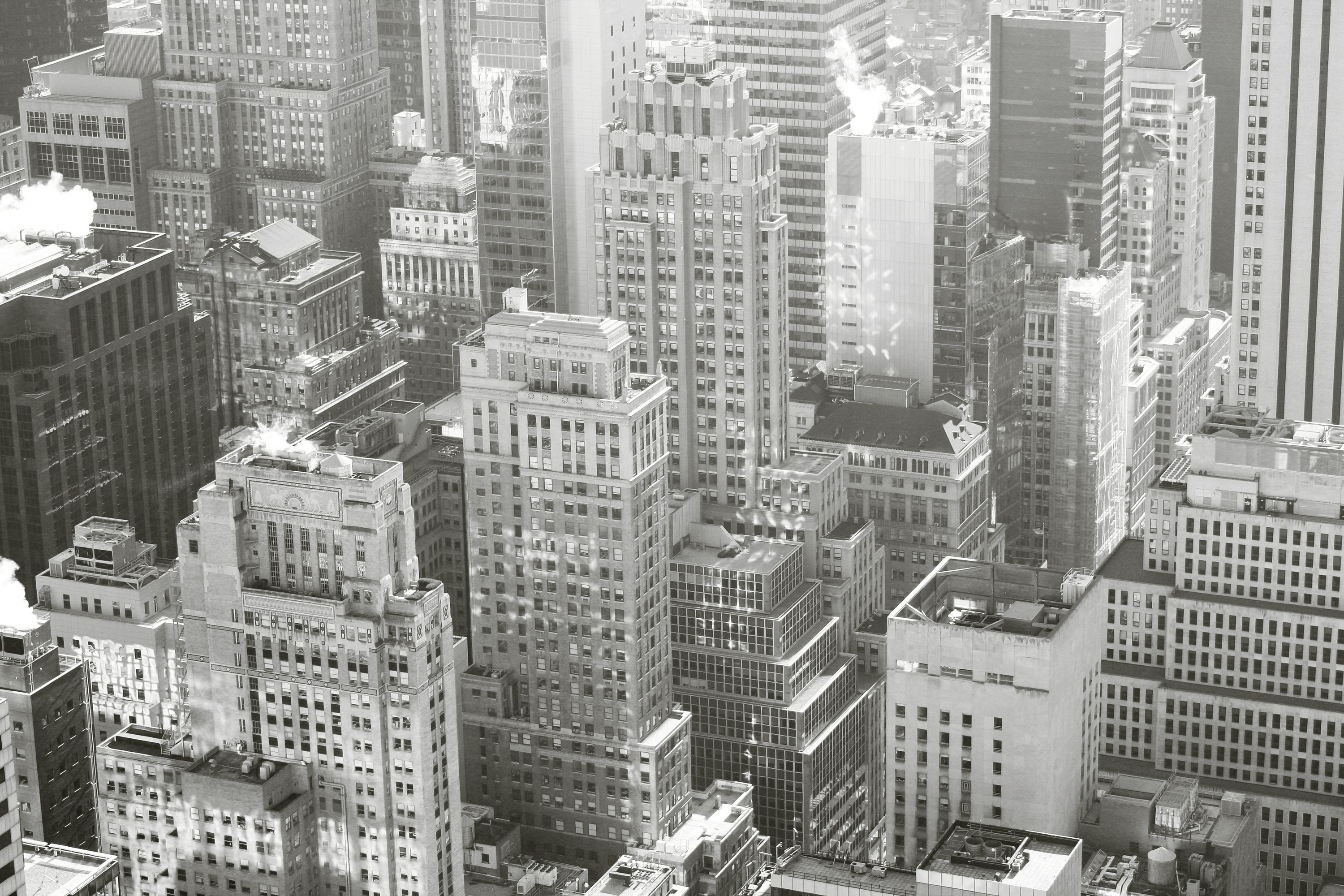 Photo by alinzainescu