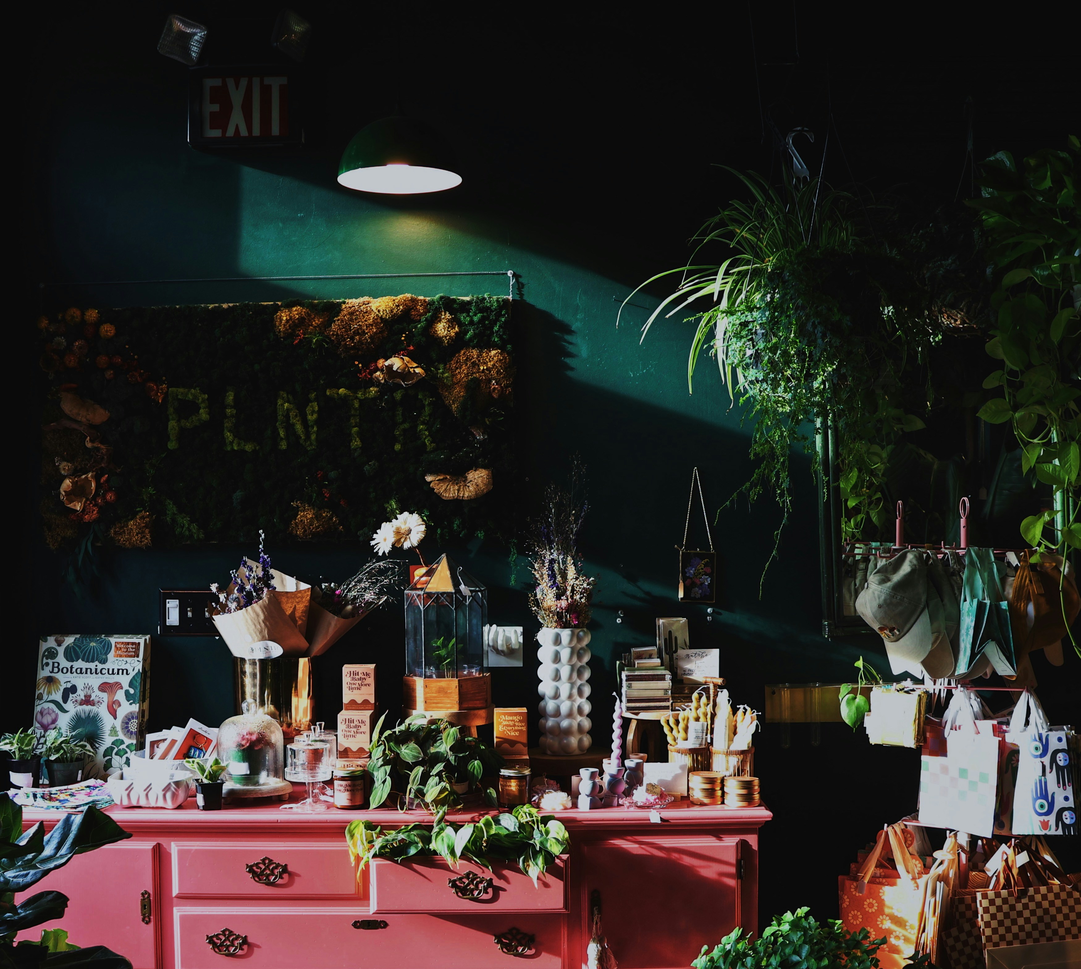 Pink dresser displaying plants and goods in a shop.